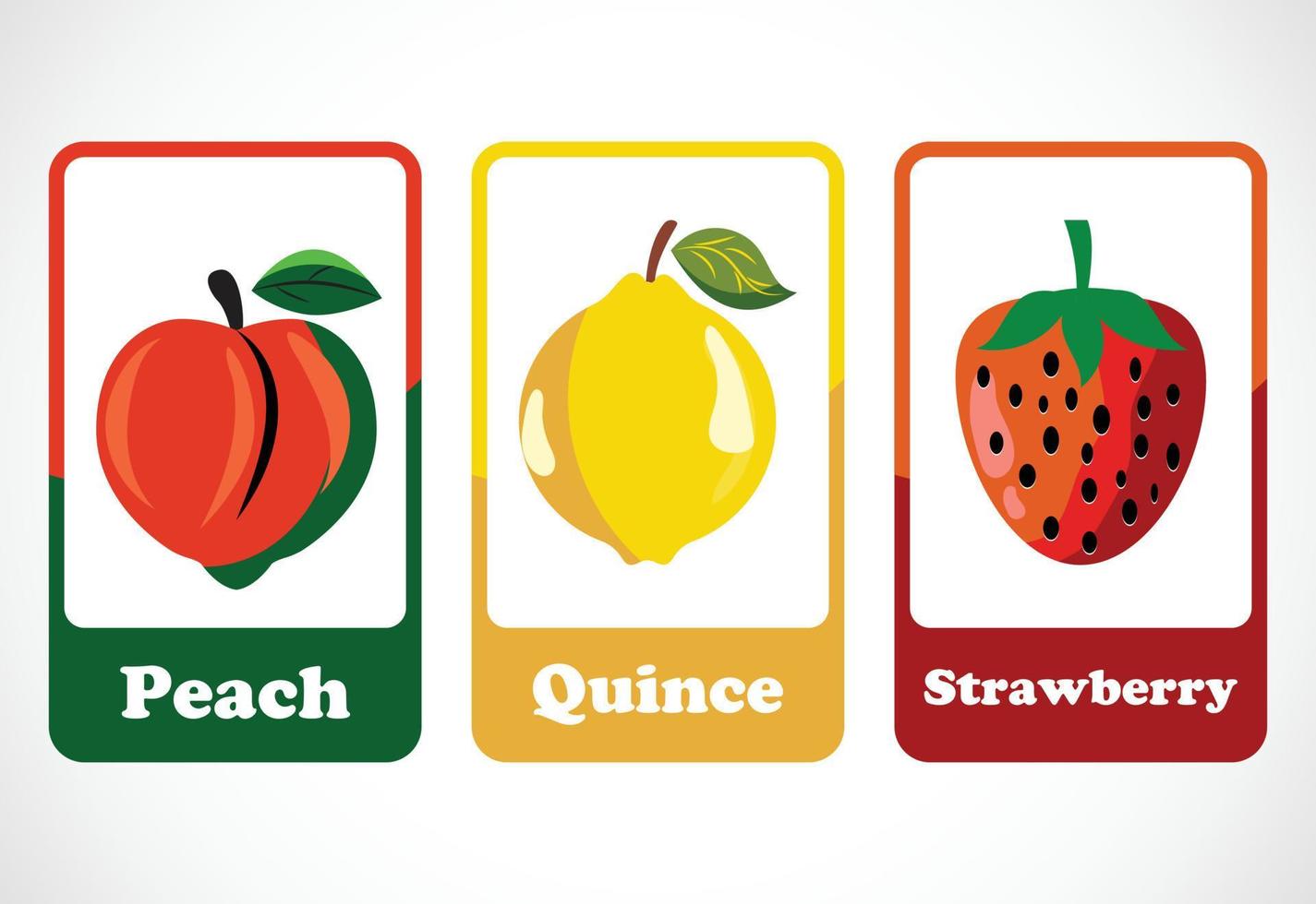 Fruit flashcards for kids. Educational cards for preschool. Printable vector illustration