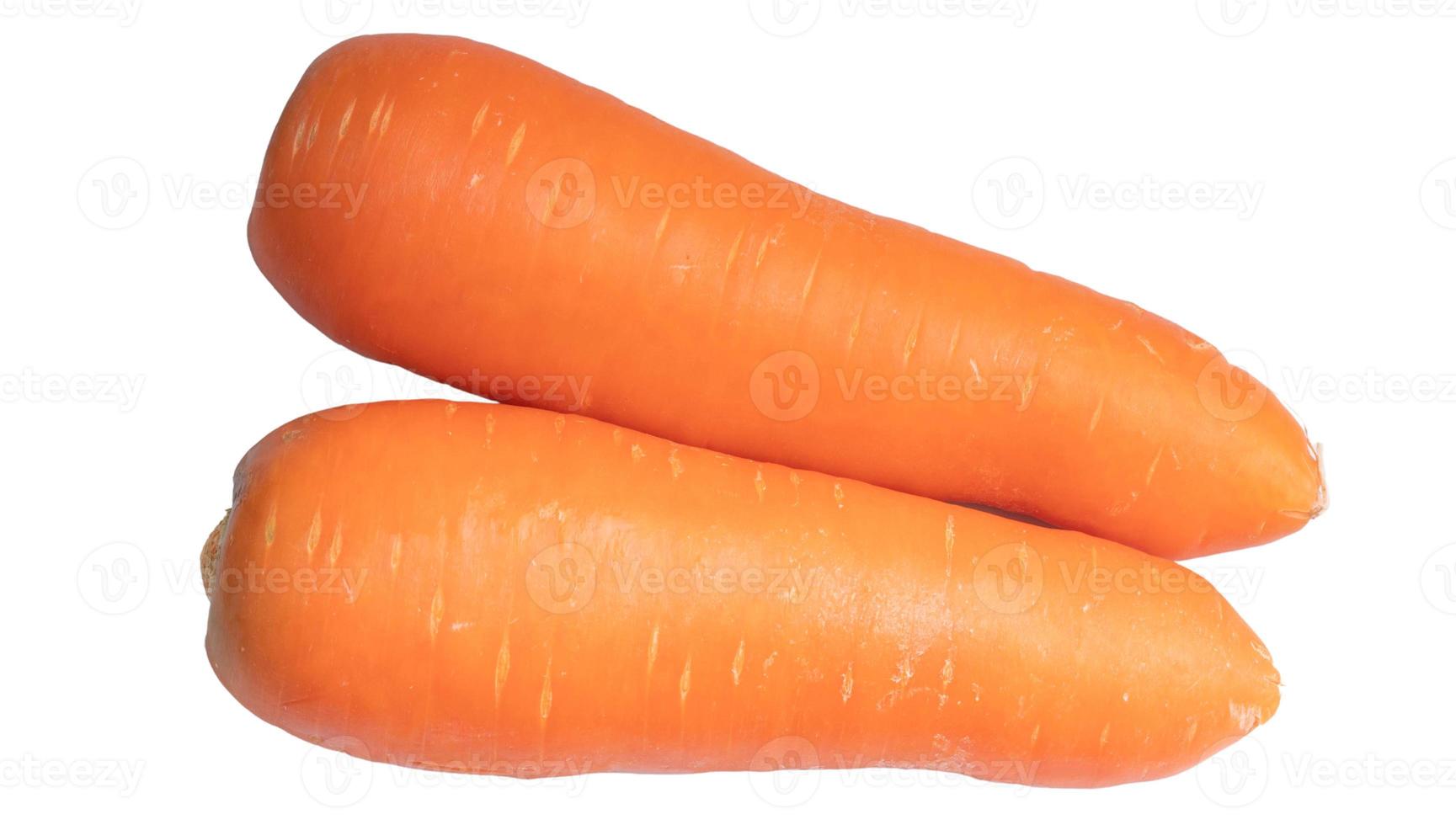 Two fresh carrots on a white background, isolated image. photo