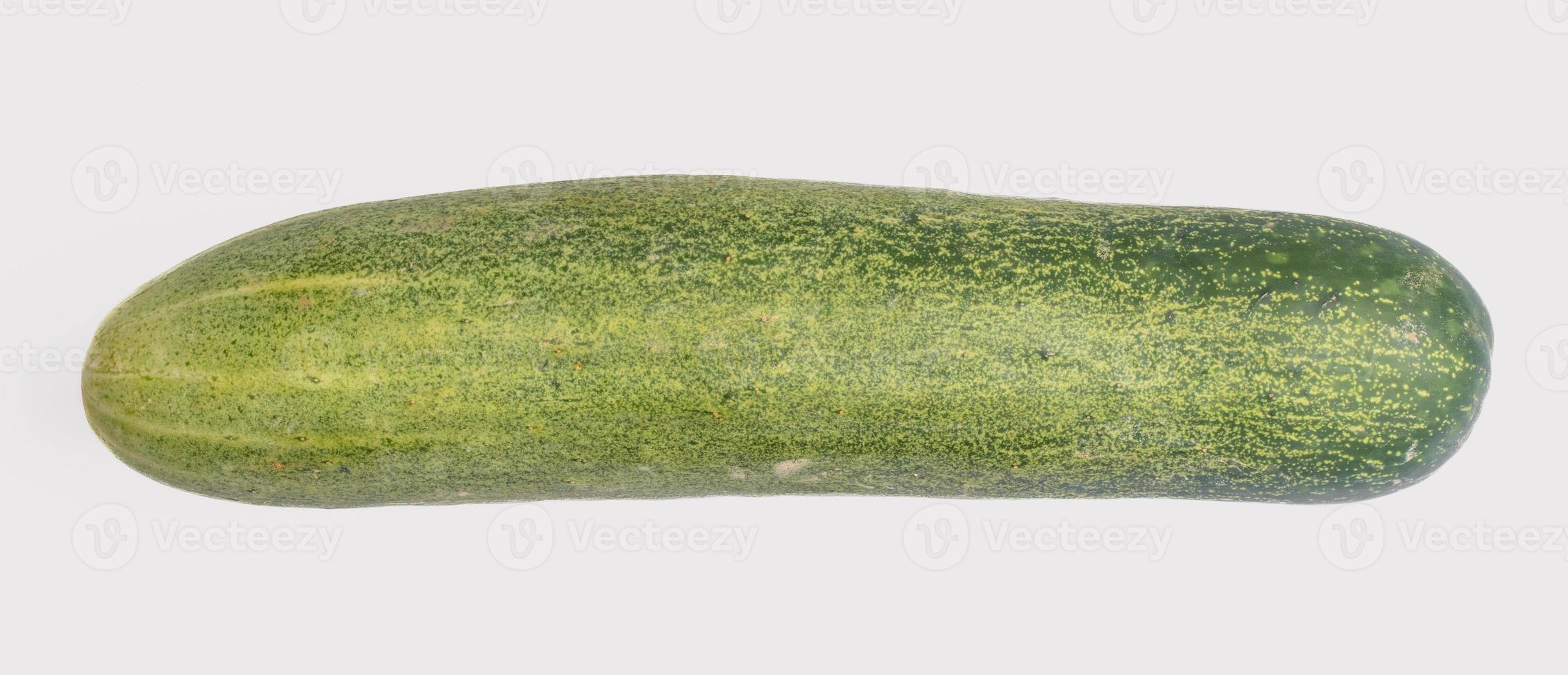 fresh cucumber on white background isolated photo