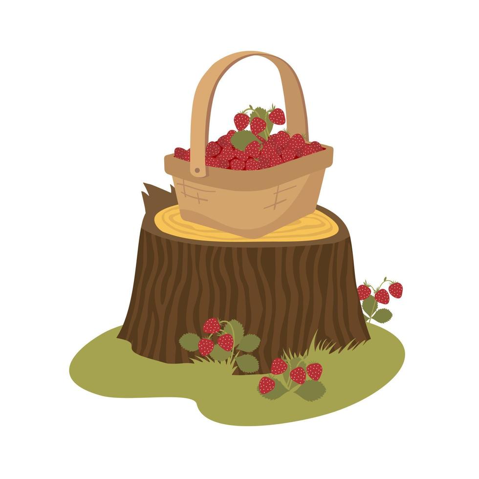 Forest strawberries in a wicker basket on a tree stump. vector