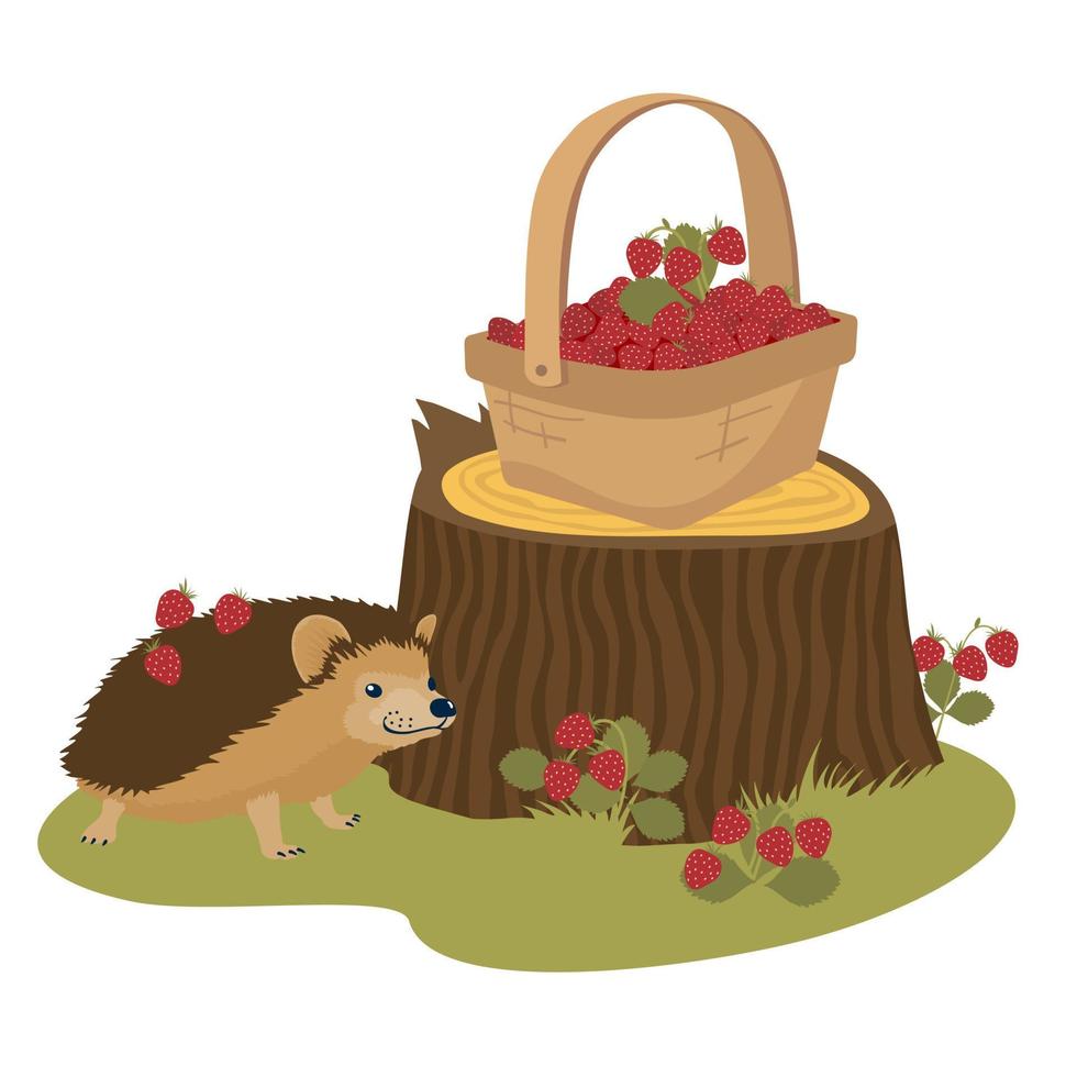 Hedgehog with wild strawberries on the edge of the forest. Strawberry basket on the stump. vector