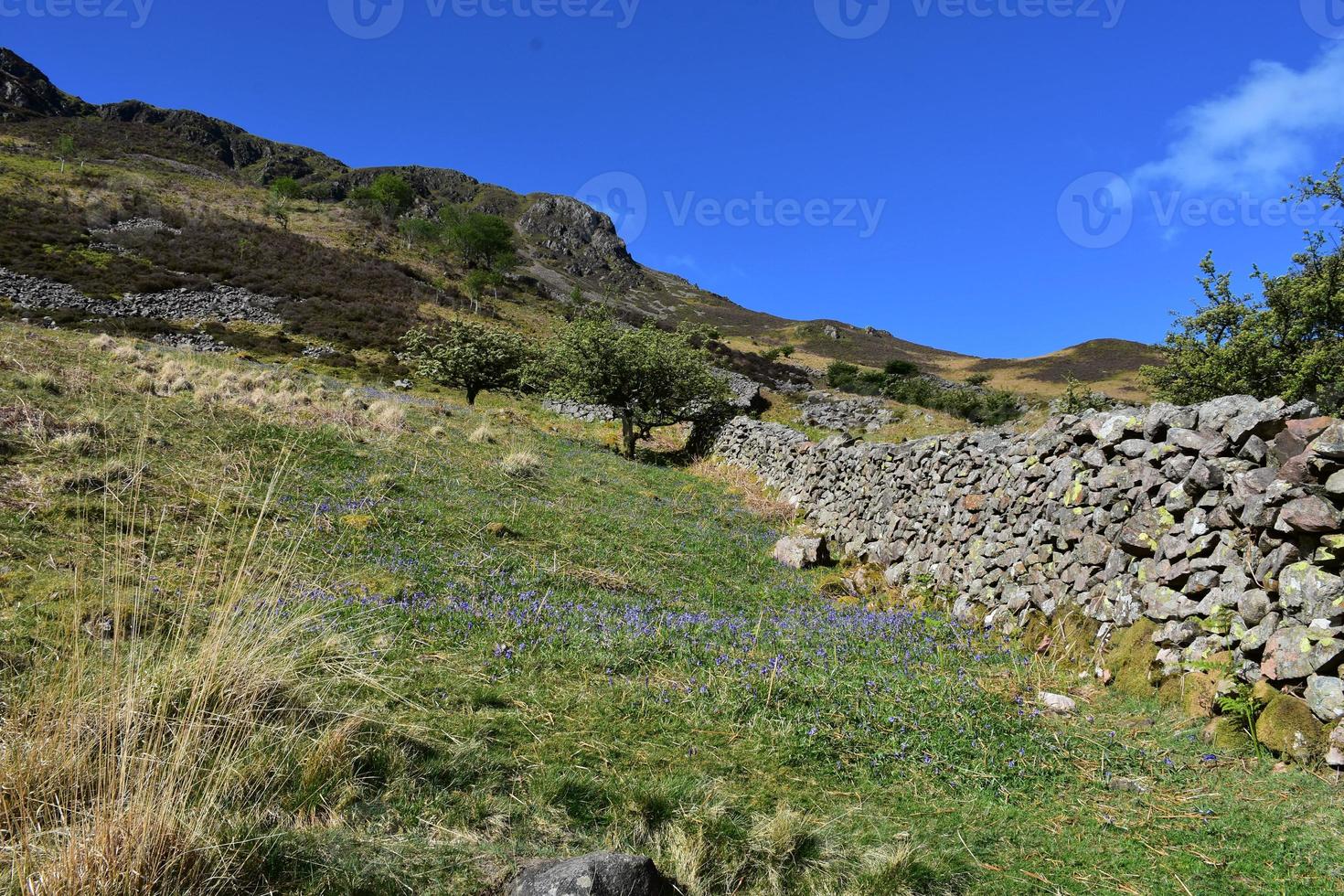 Rock Wall Down the Side of a Fell in England photo