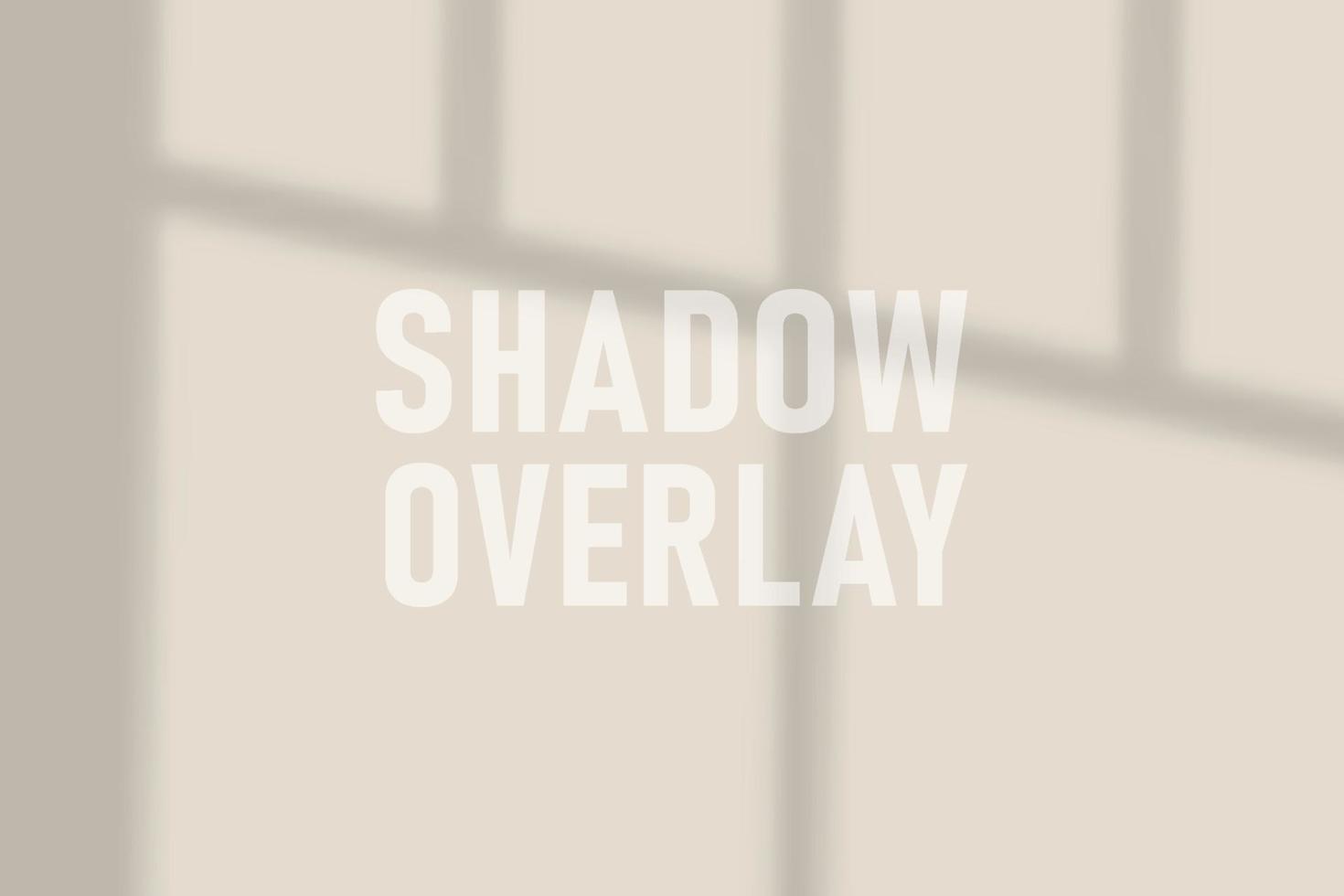 shadow overlay effect. overlay shadow from the window. Scenes of natural lighting. vector