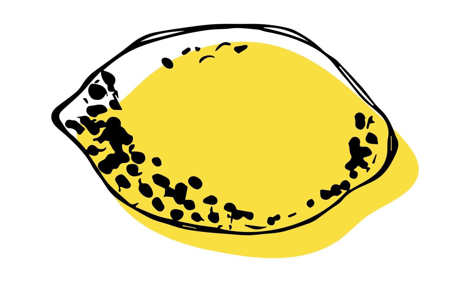 Vector lemon clipart. Hand drawn citrus icon. Fruit illustration. For print, web, design, decor