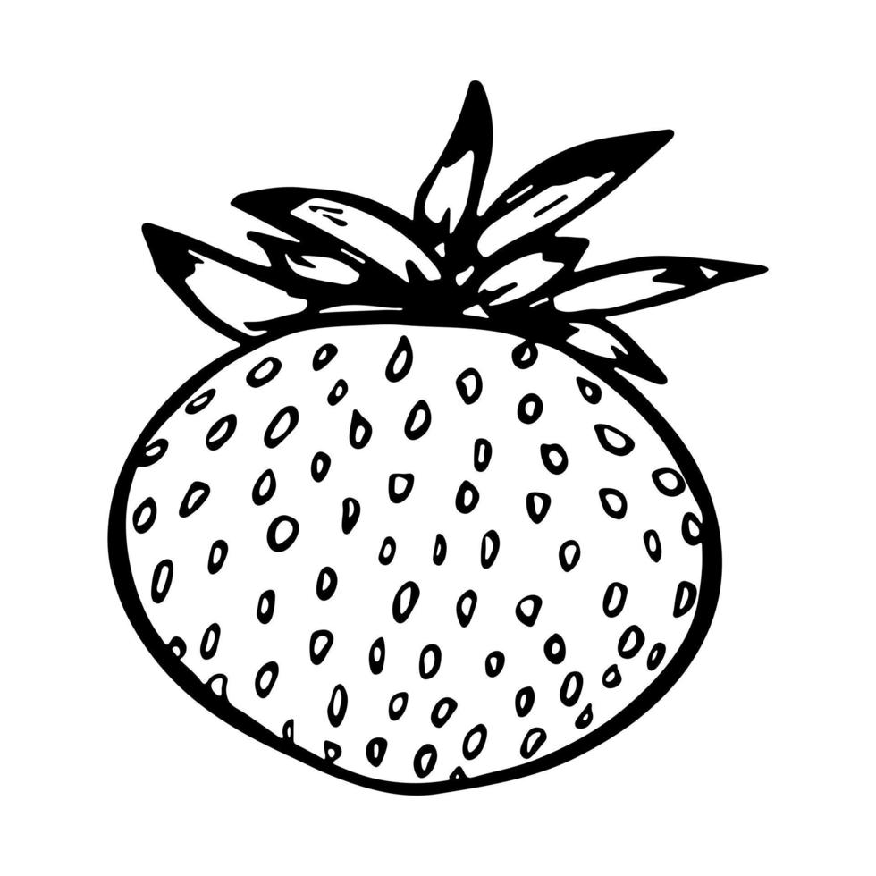 Vector strawberry clipart. Hand drawn berry icon. Fruit illustration. For print, web, design, decor