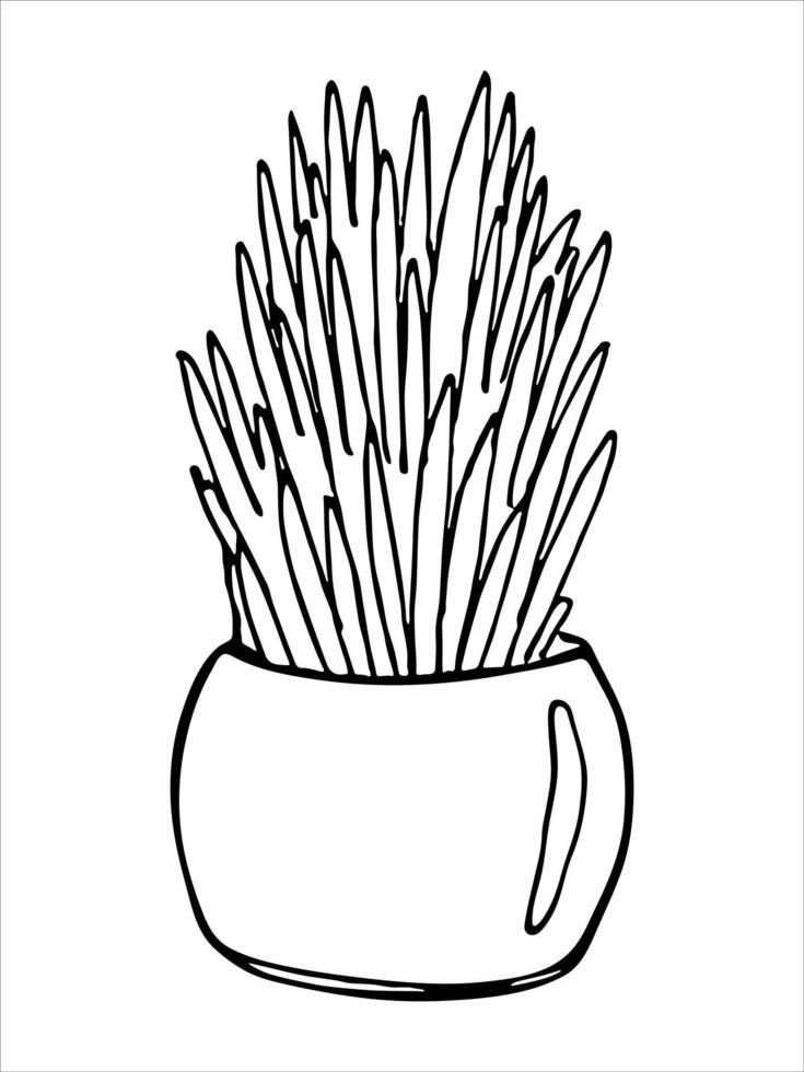 Cute hand drawn houseplant in a pot clipart. Plant illustration. Cozy home doodle vector