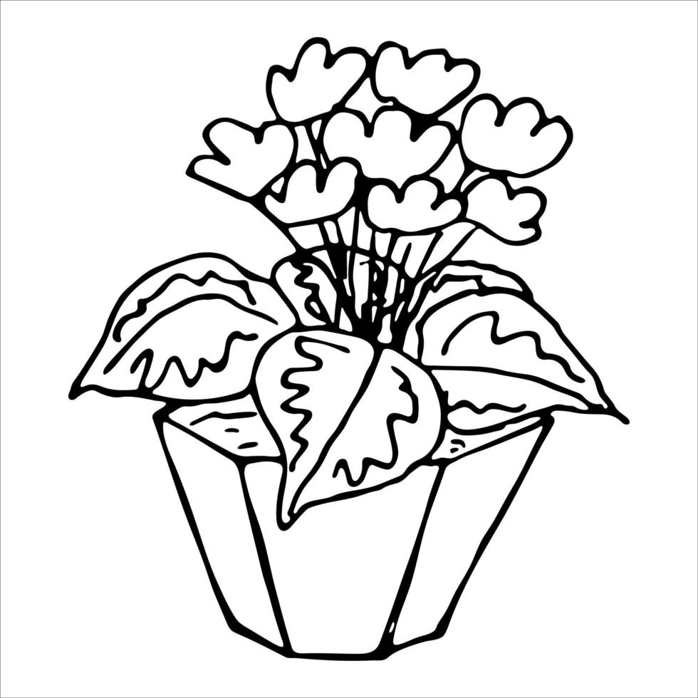 Cute hand drawn houseplant in a pot clipart. Plant illustration. Cozy home doodle vector