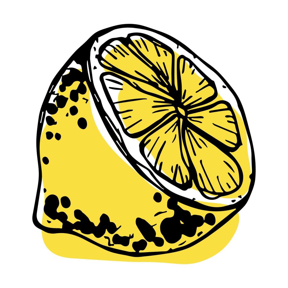 Vector lemon clipart. Hand drawn citrus icon. Fruit illustration. For print, web, design, decor
