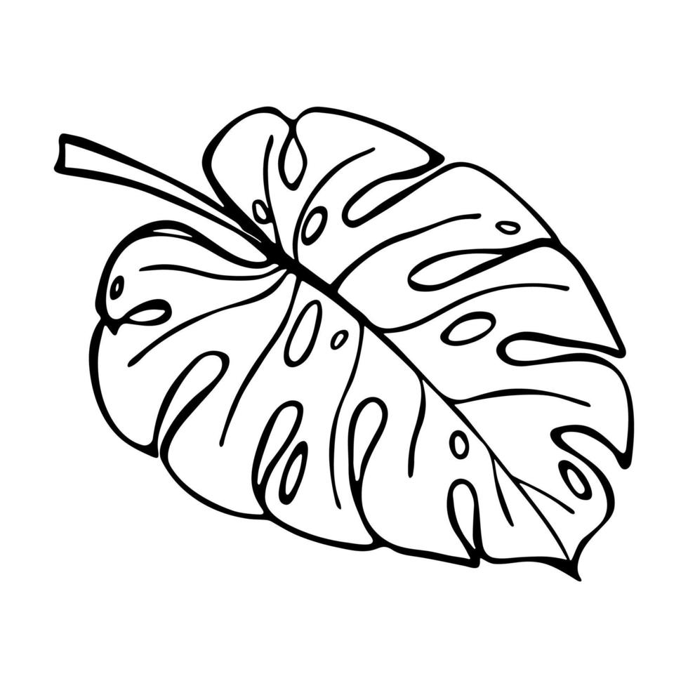 Simple tropical monstera leaf illustration. Hand drawn vector clipart. Botanical doodle