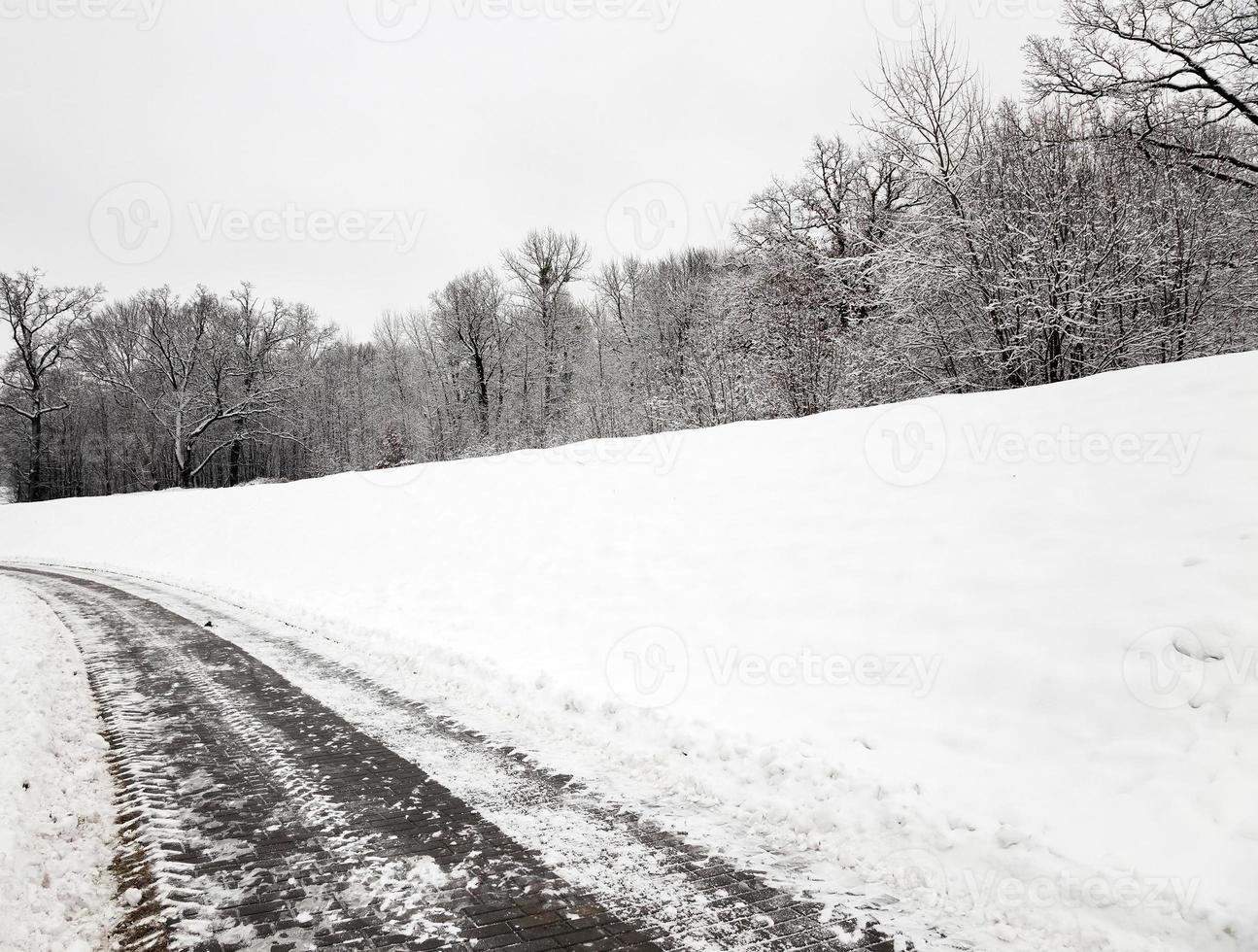 small road in winter photo