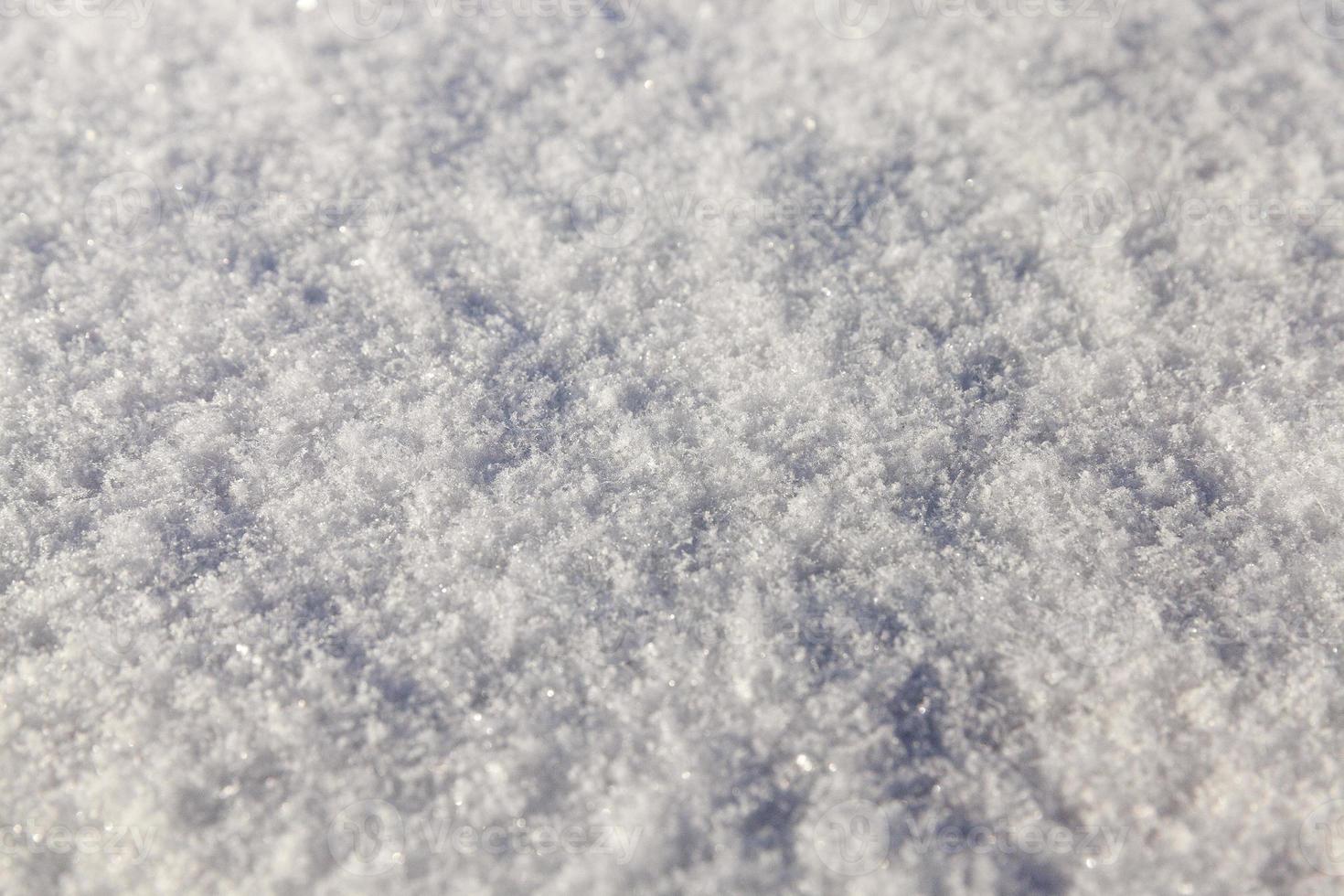 snow on the ground photo