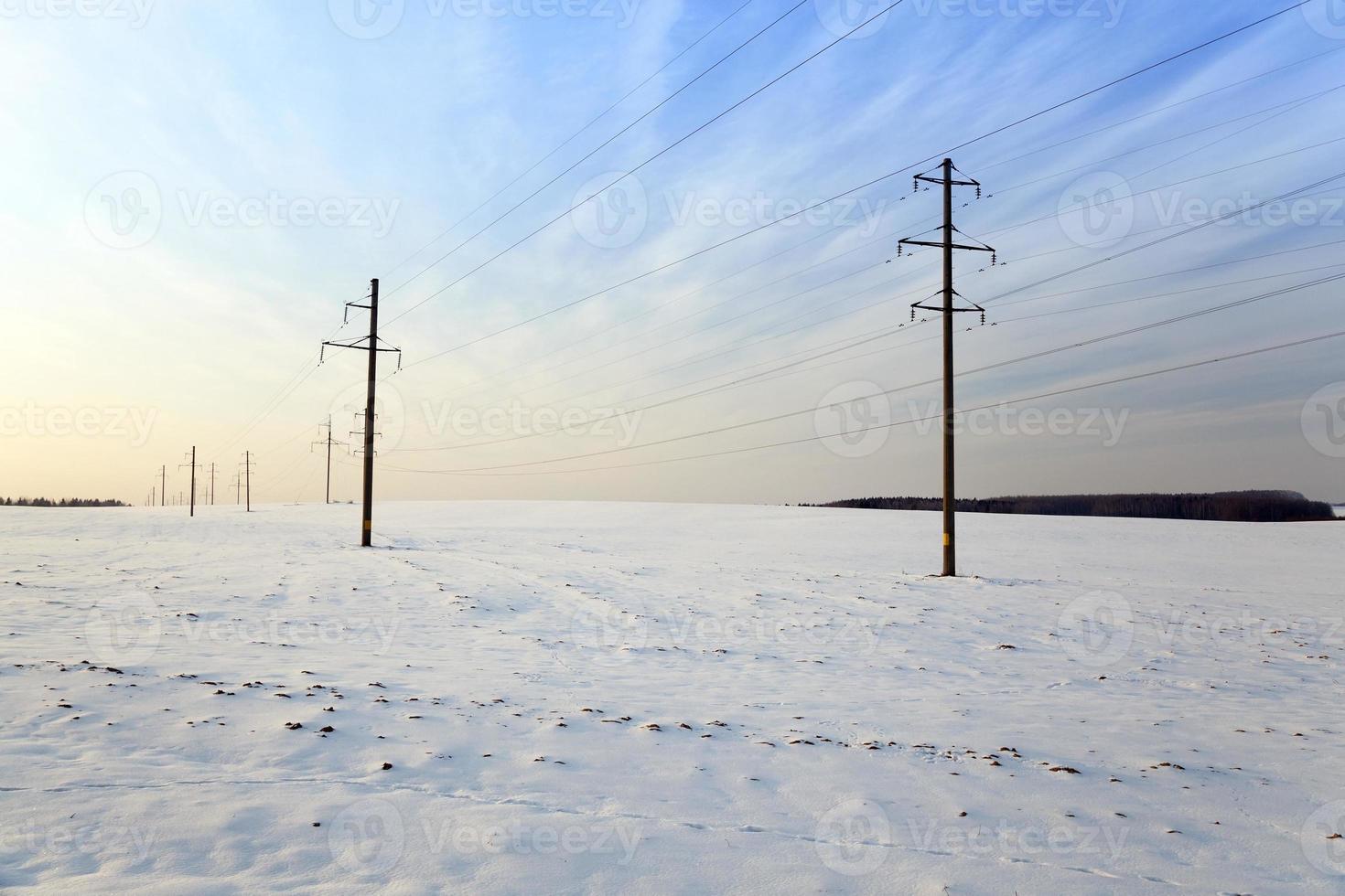 winter field , sunset photo