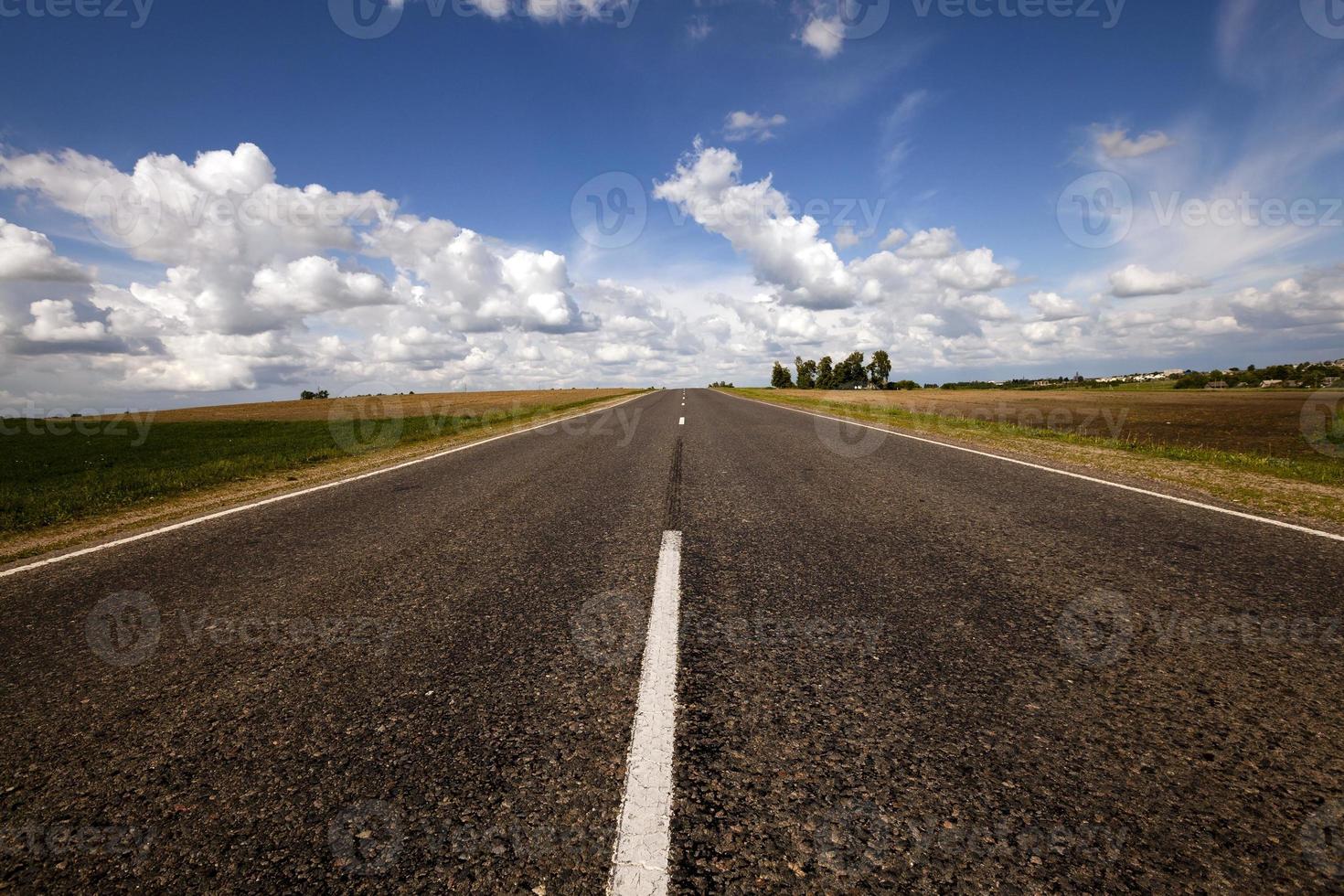 camino de verano. campo foto