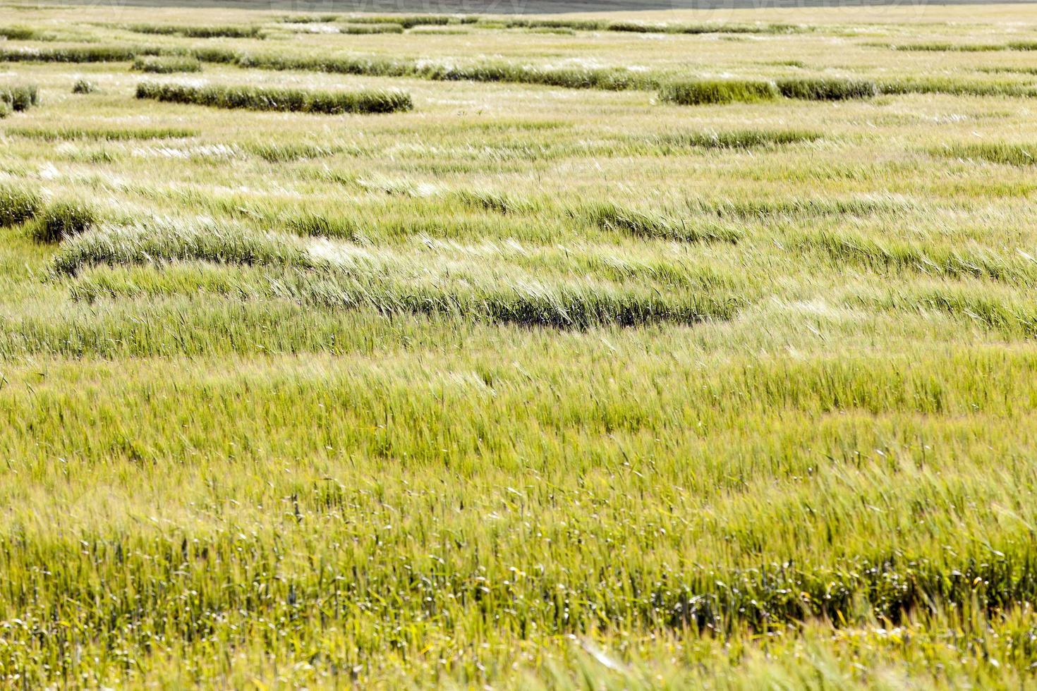 foto agricultura, europa