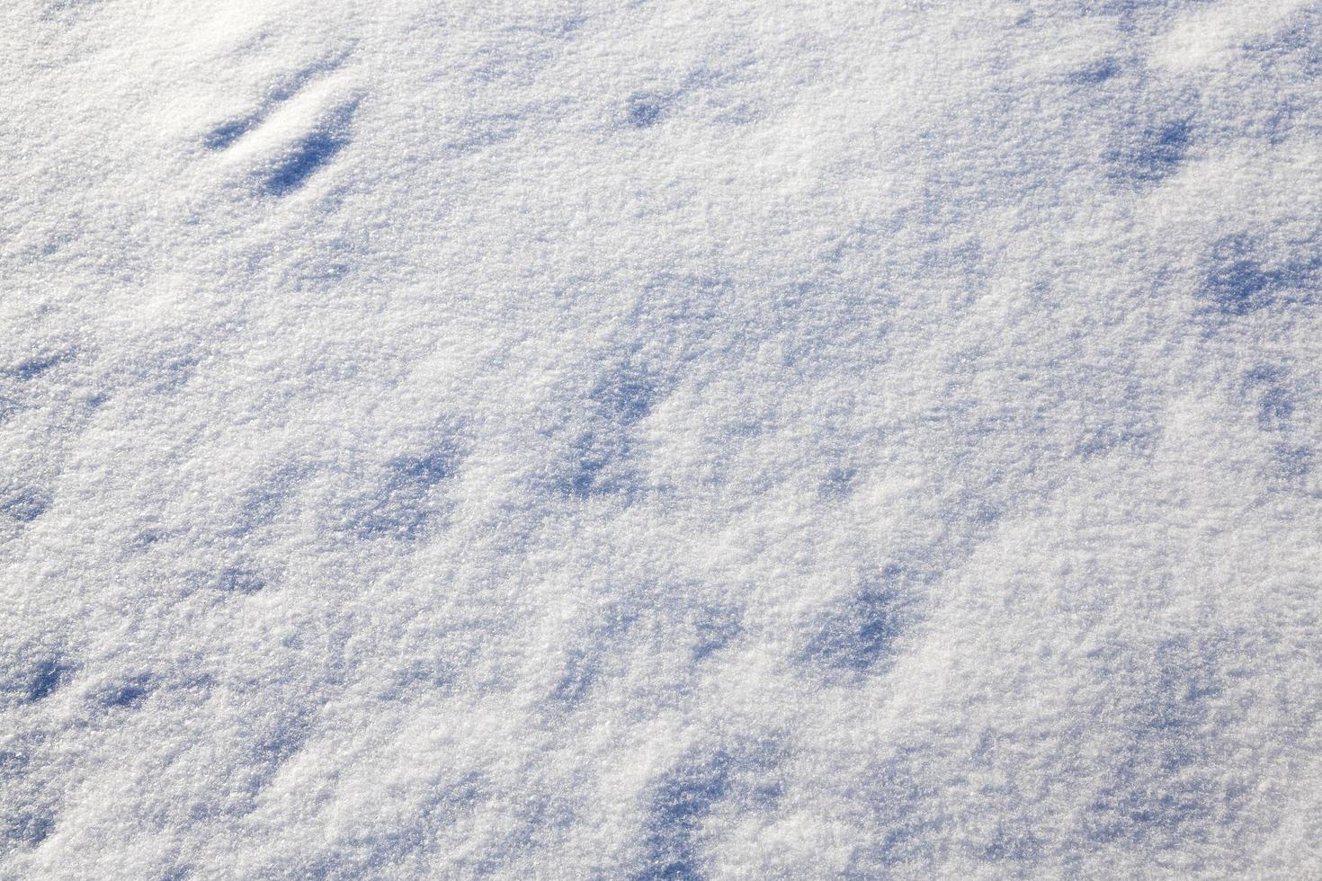 snow on the ground photo