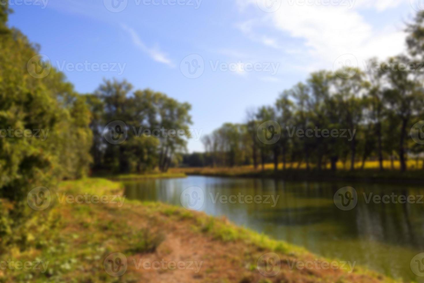 green swamp, close-up photo