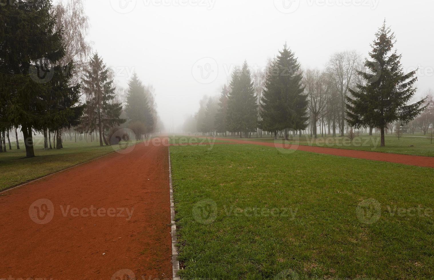 Park in autumn photo