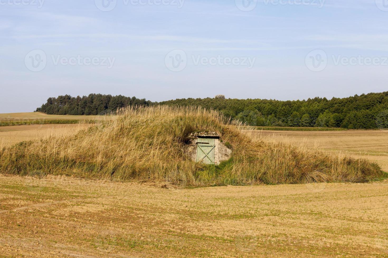 cellar for storing food photo