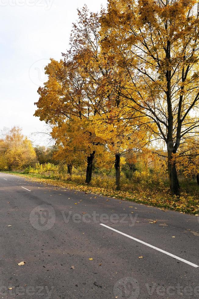 Autumn road . country photo