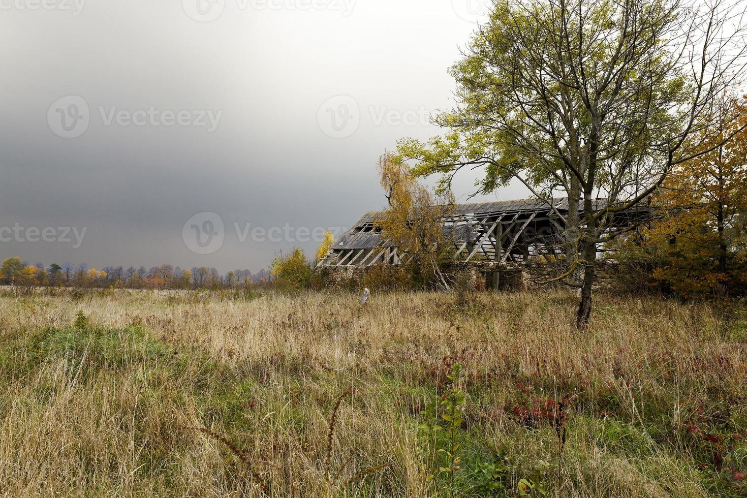 the ruins of an old building photo