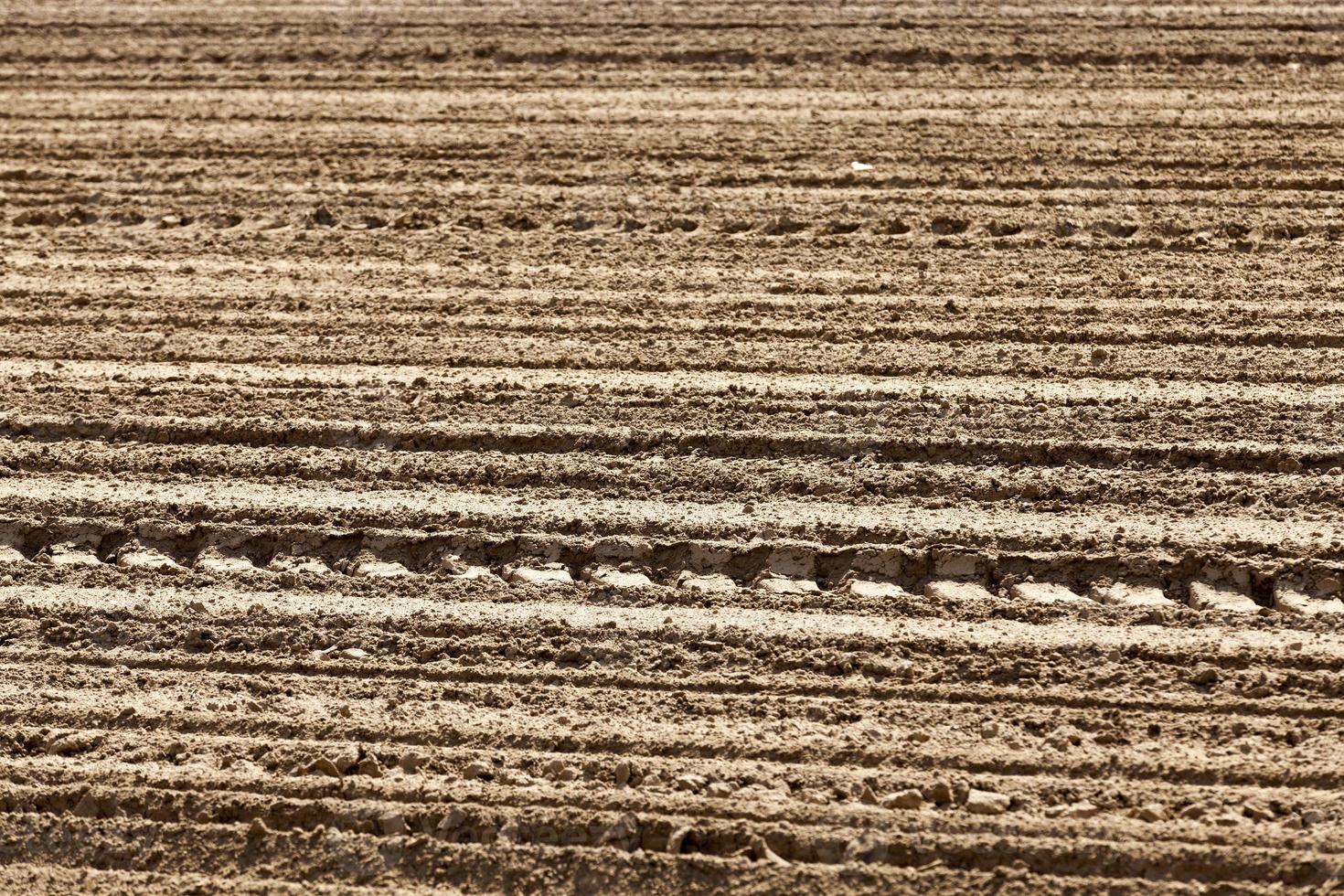 the plowed soil on which to grow cereal crops photo