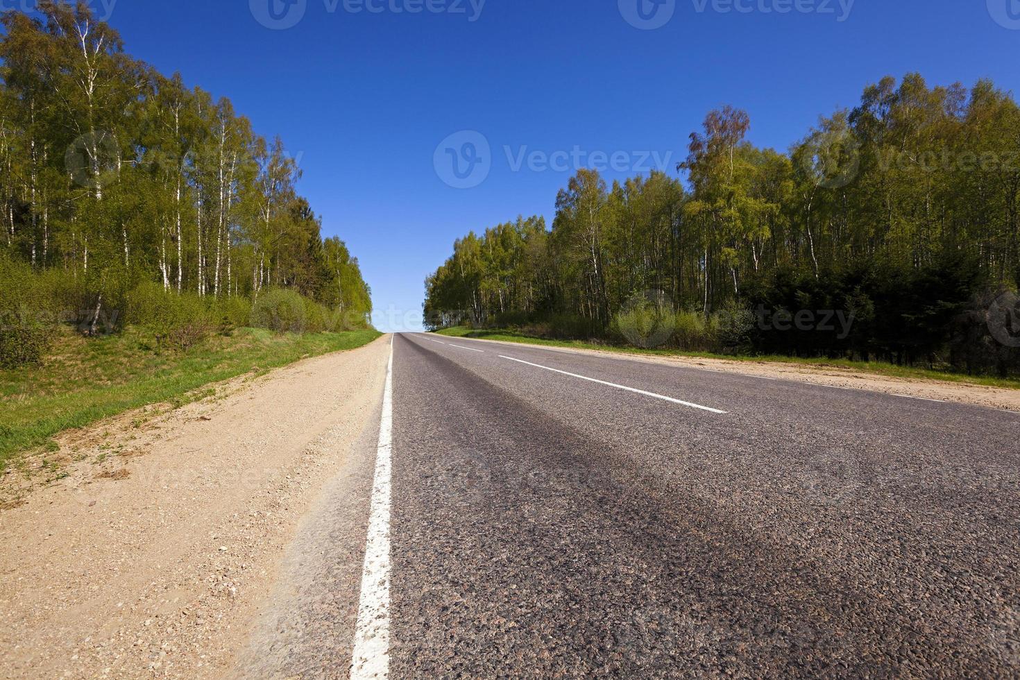 the asphalted road photo