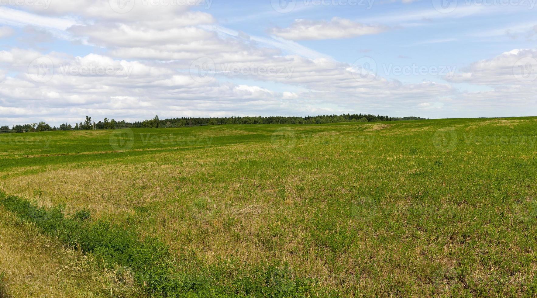 zona montañosa en un campo agrícola foto