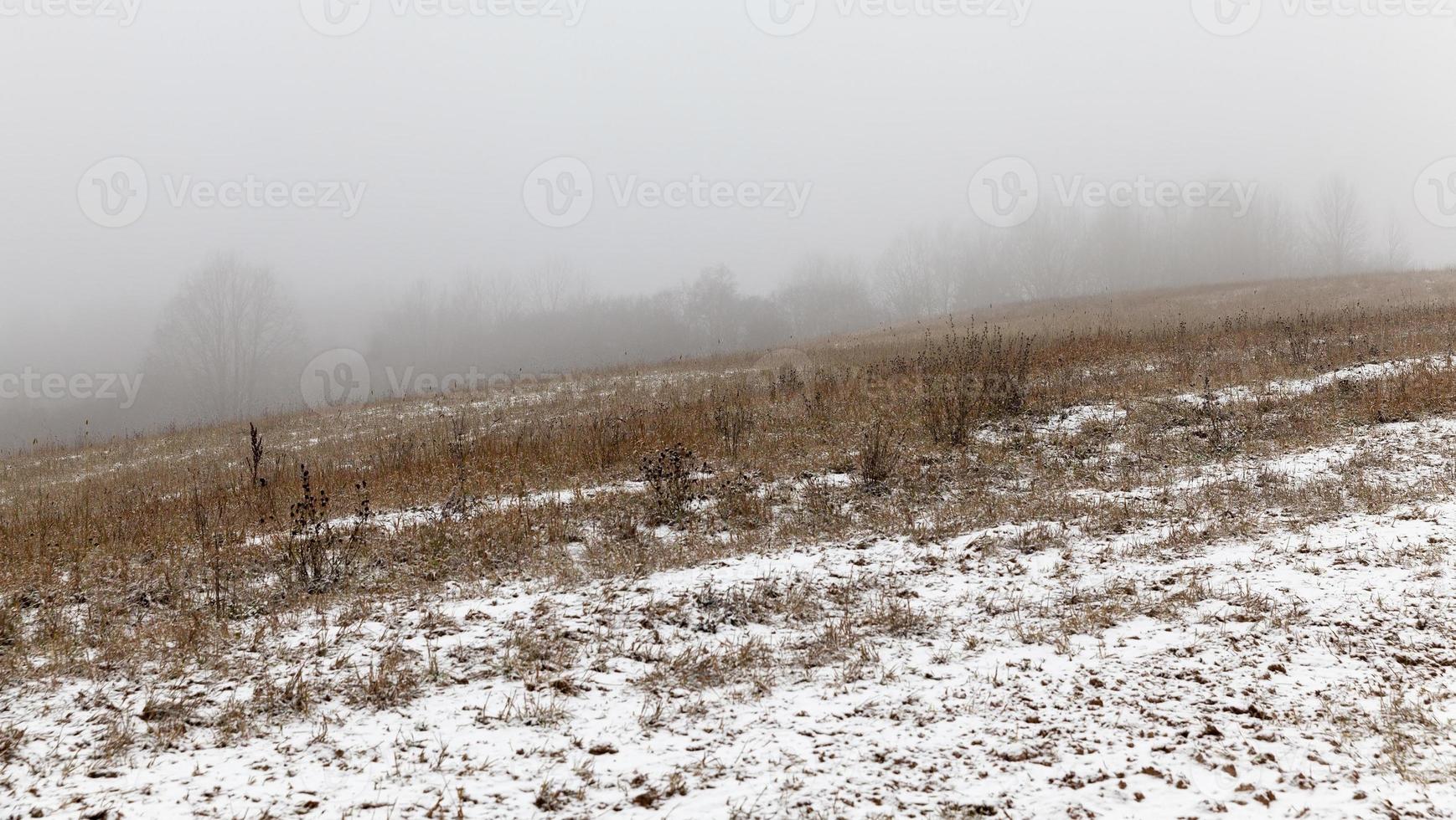 Beautiful landscape, field photo