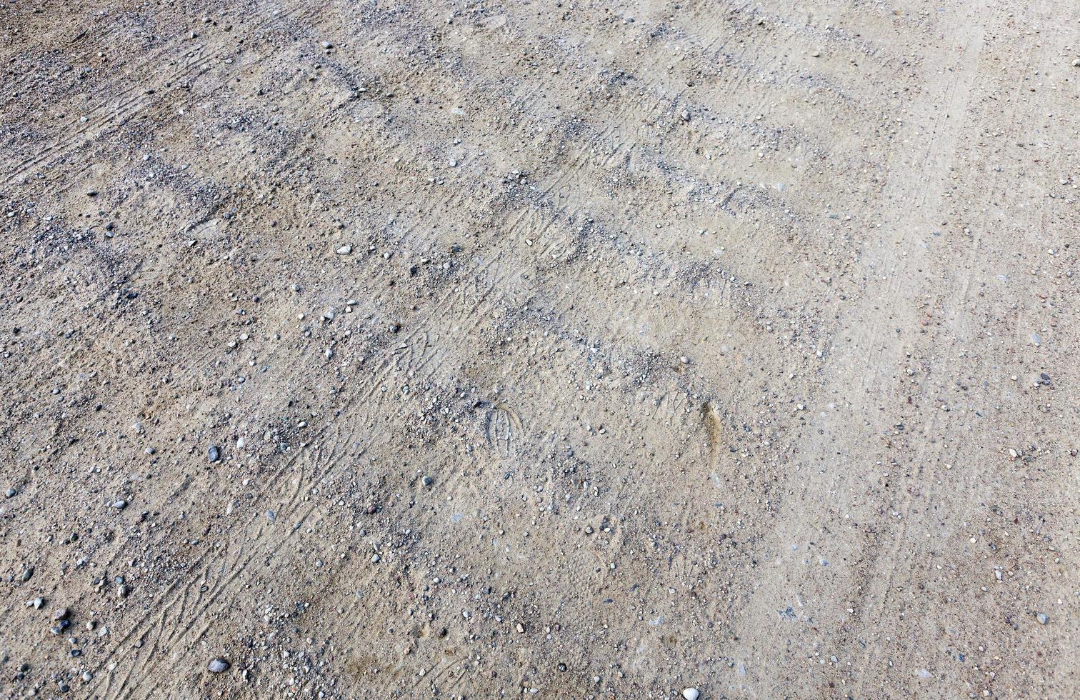 Sandy forest road photo