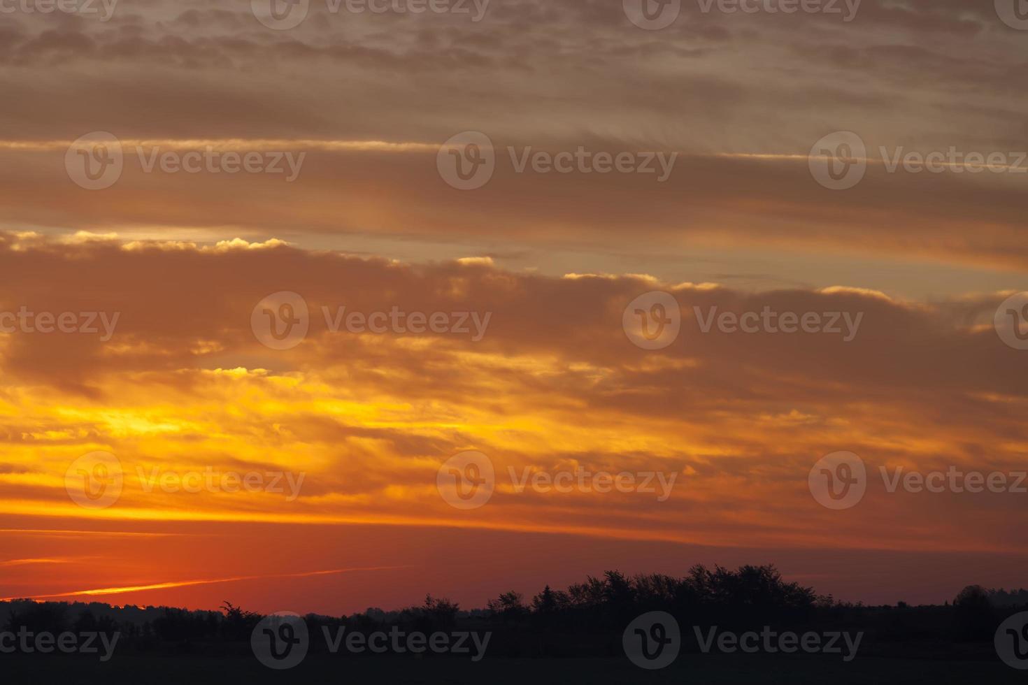 landscape in nature during sunset photo