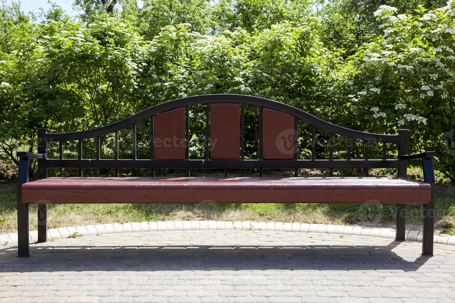 wooden bench in park photo