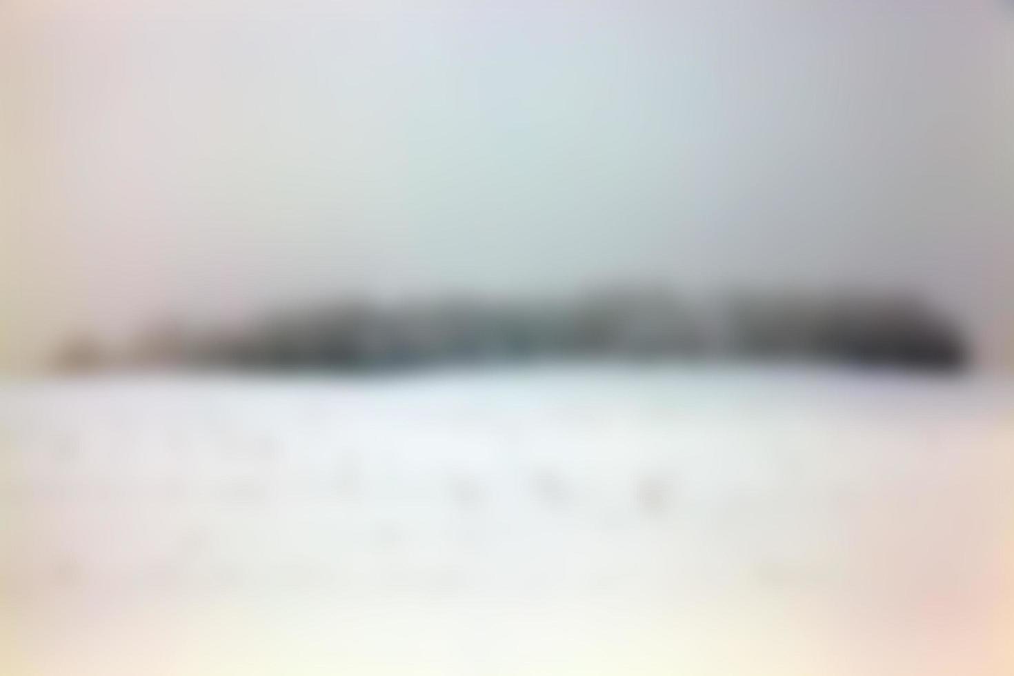 Trees in winter photo