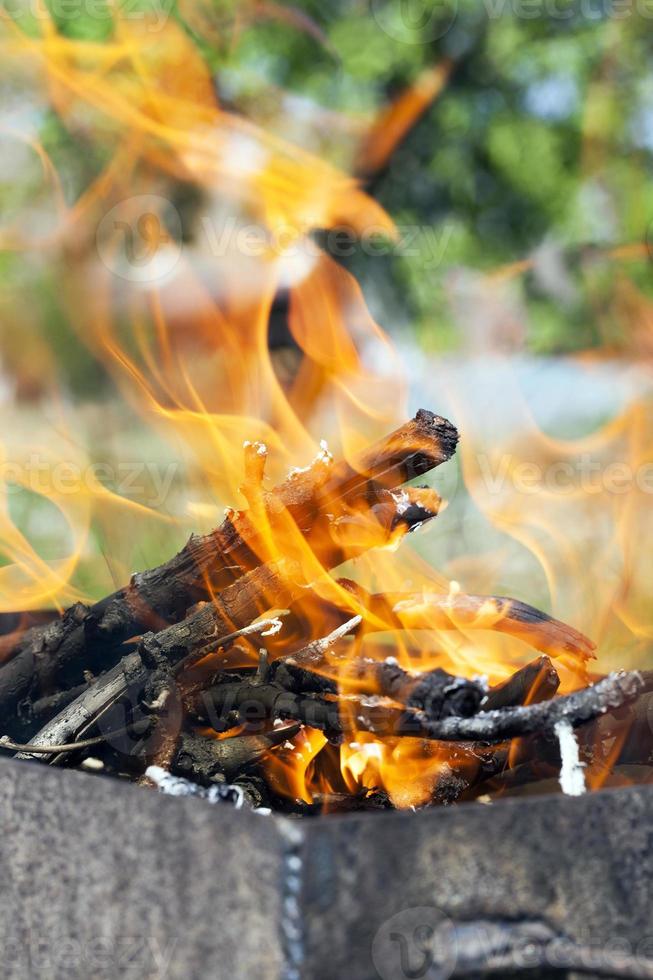 fire bonfire , closeup photo