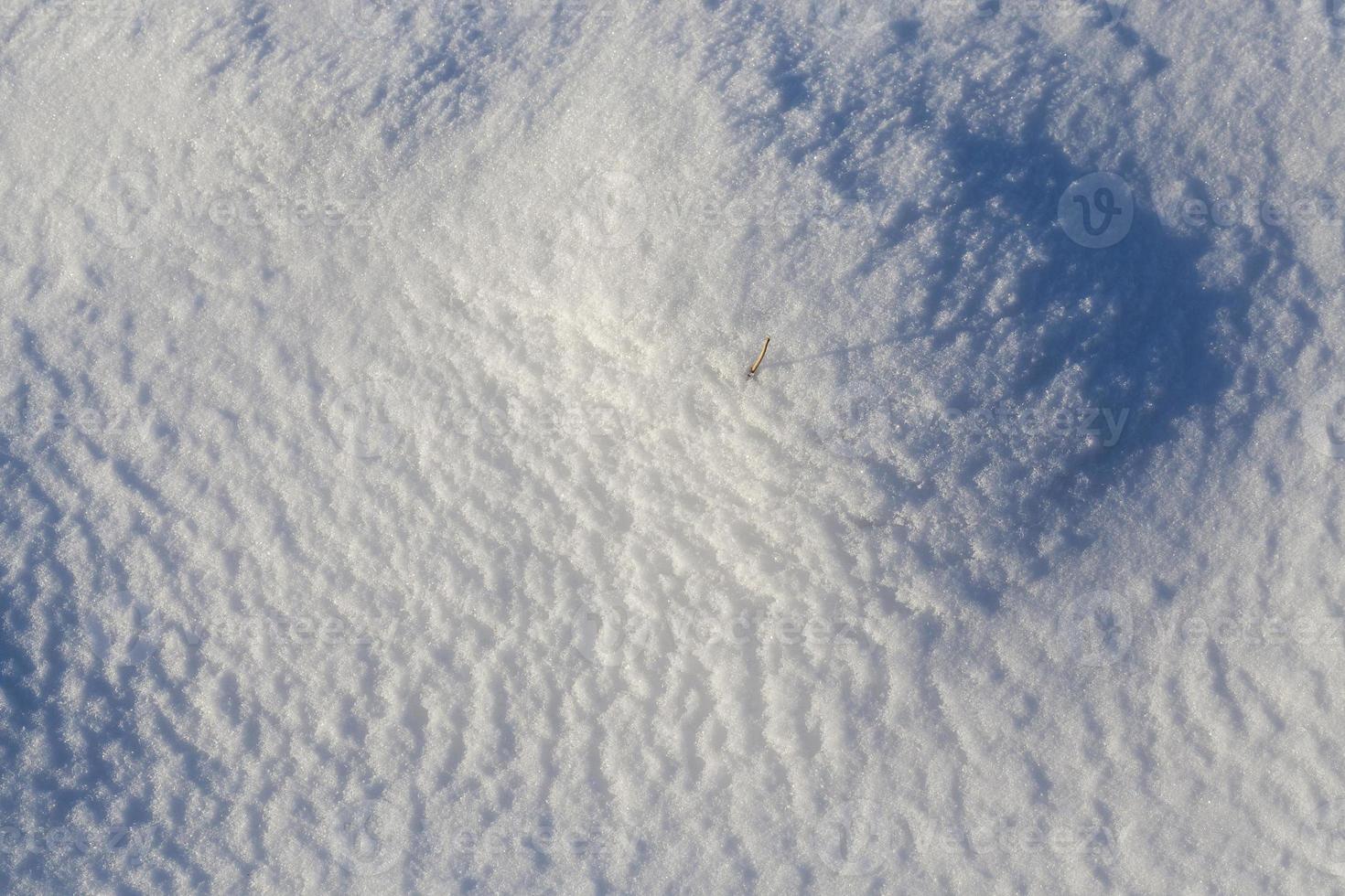 ventisqueros en invierno foto