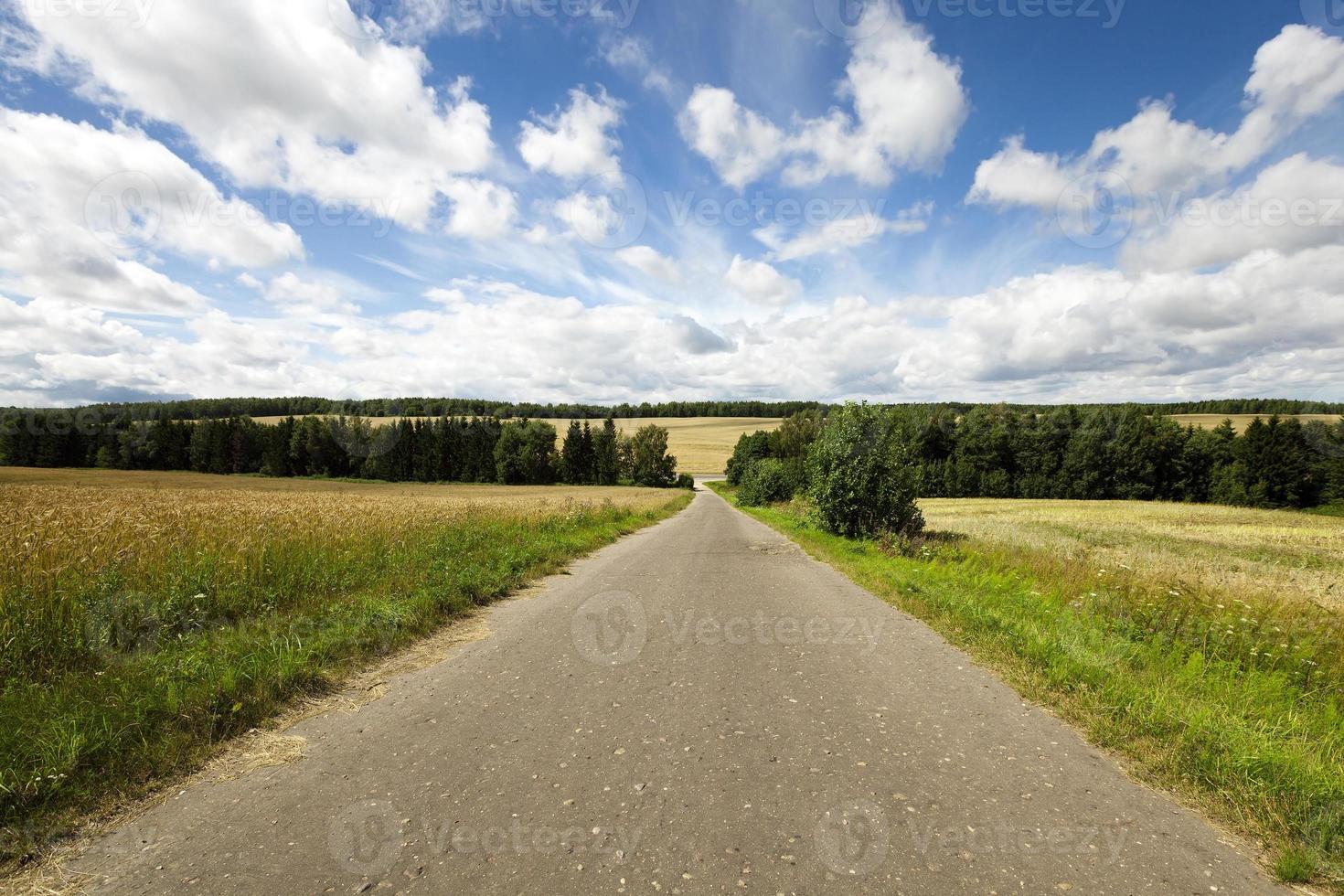 Spring road, countryside photo