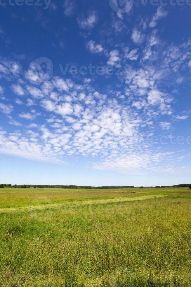 cielo y paisaje de primavera foto