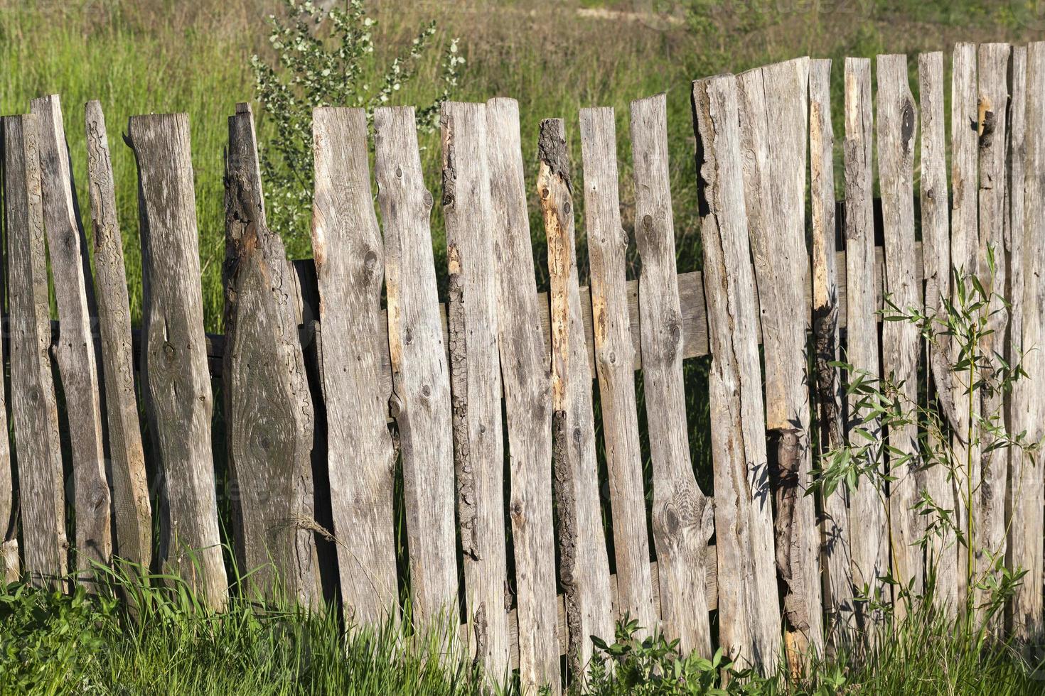 old board fence photo