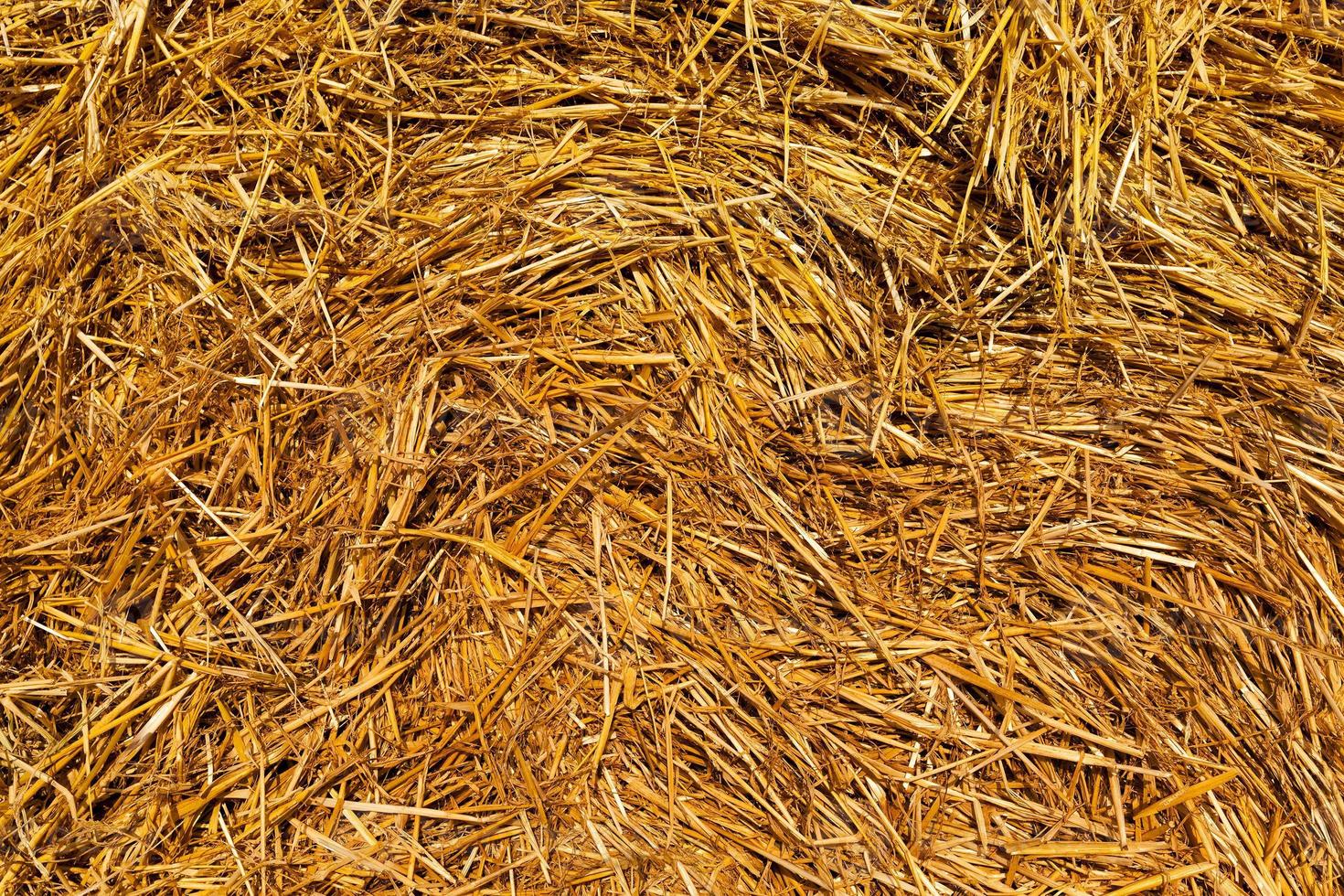packed straw , cereals photo