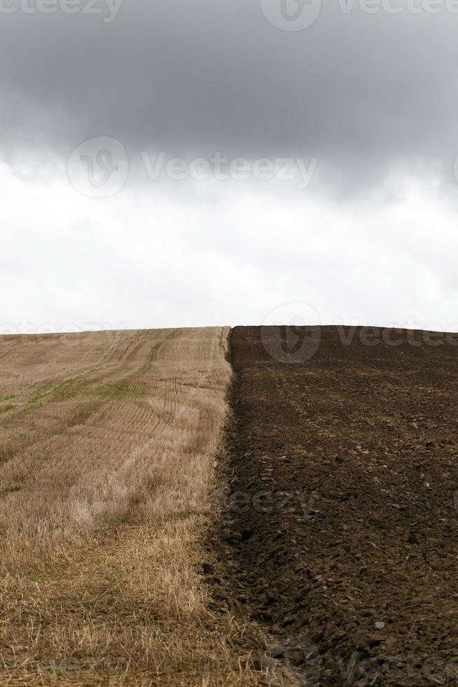 plowed earth and sky photo