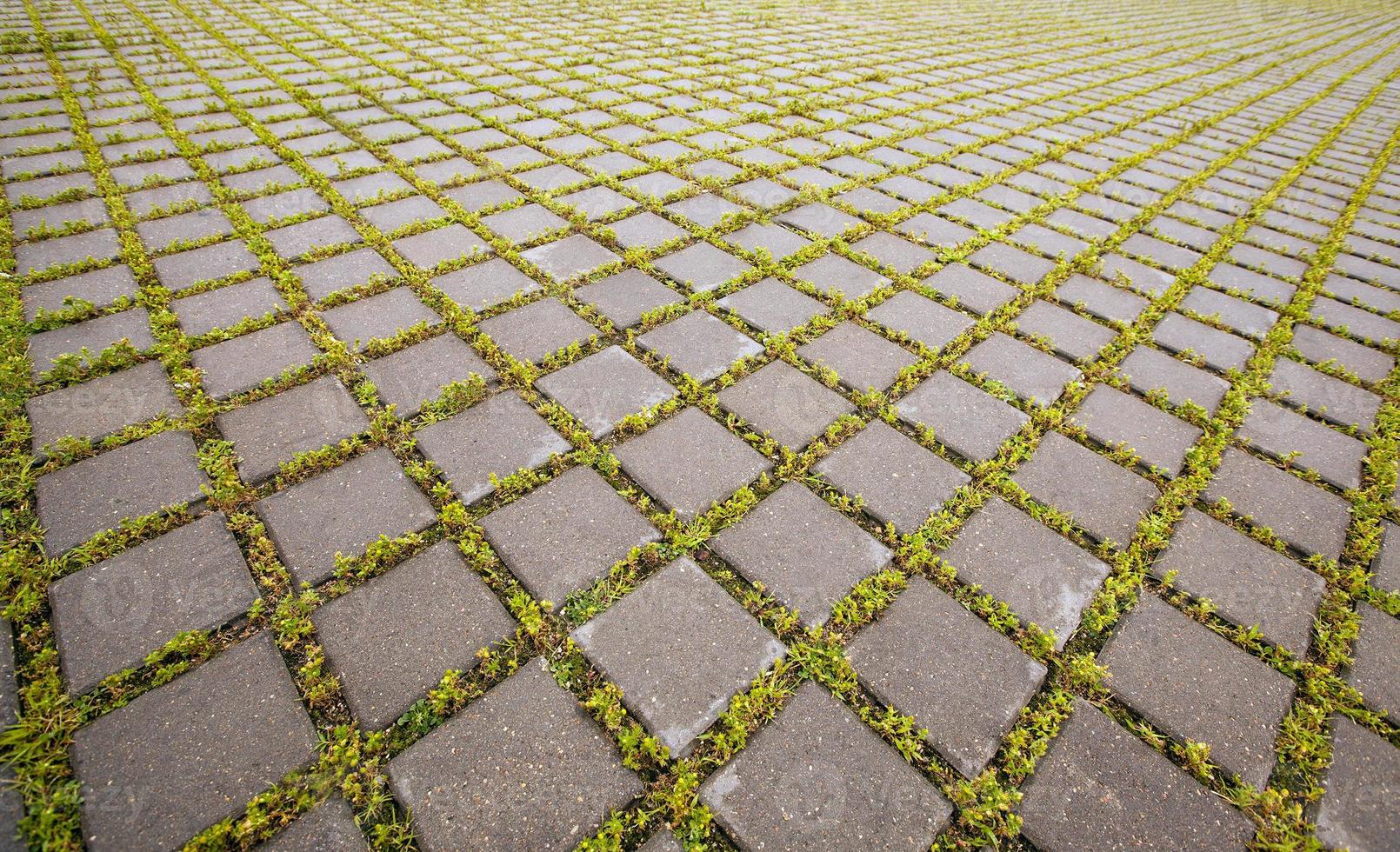 paving slabs close up photo