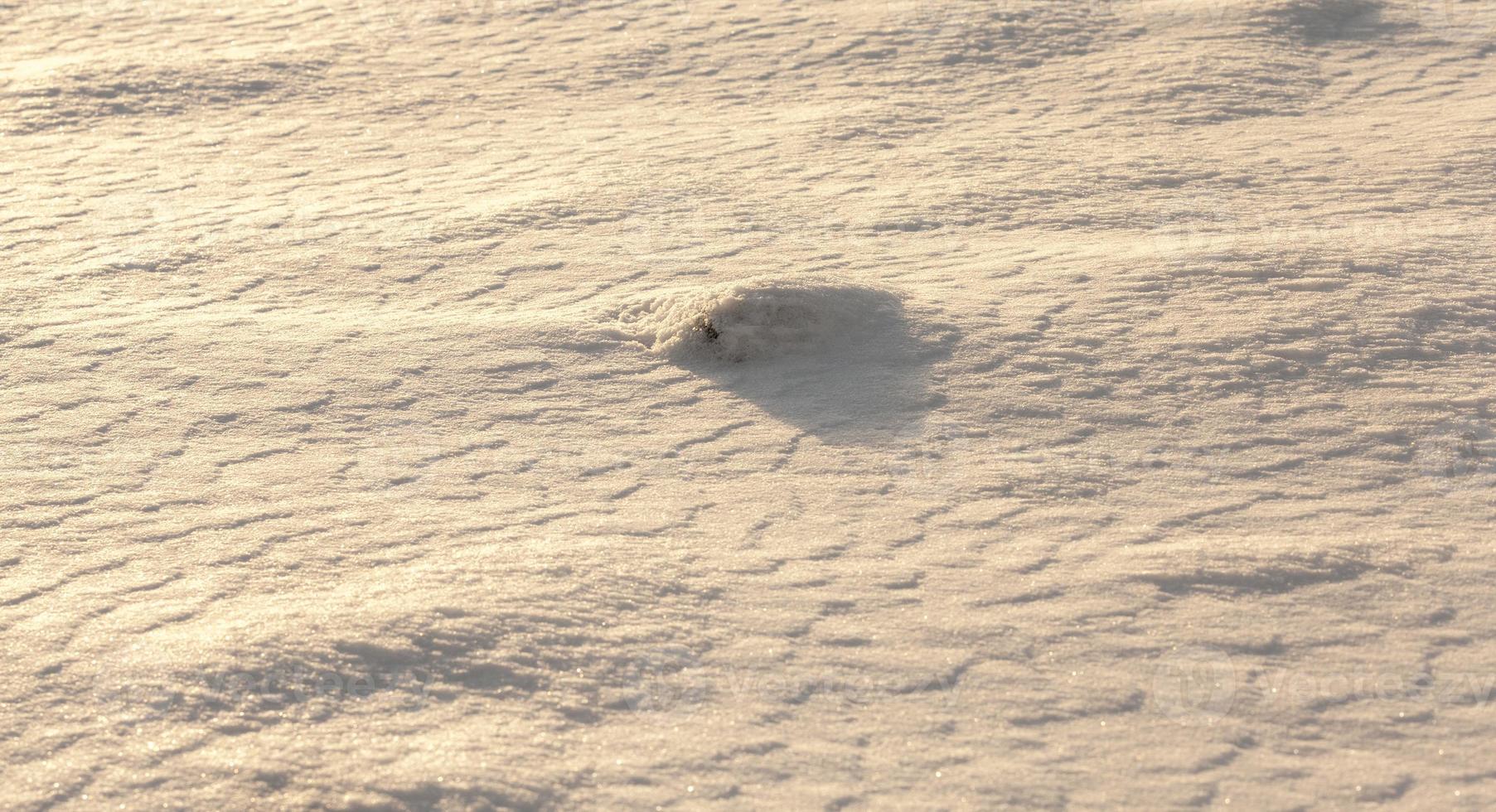 Snow drifts in winter photo