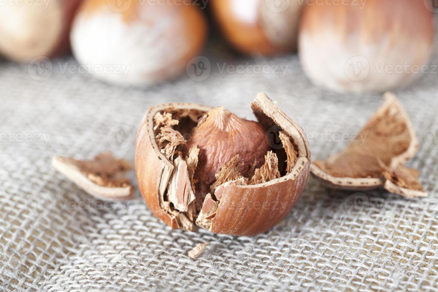 Shells on hazelnuts photo