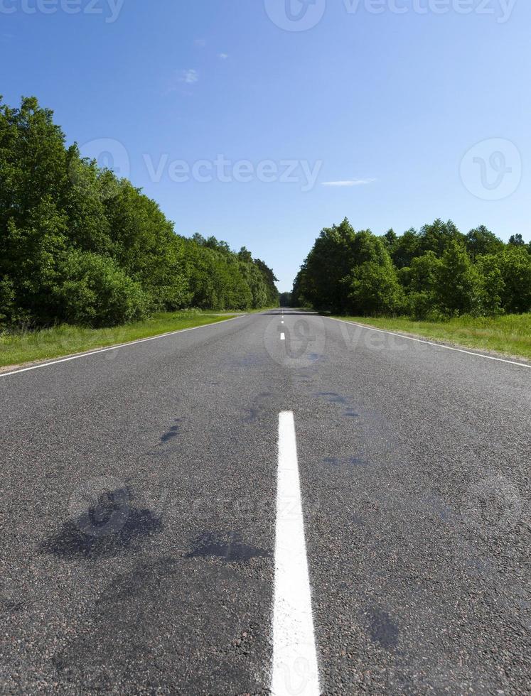 Empty road and forest photo