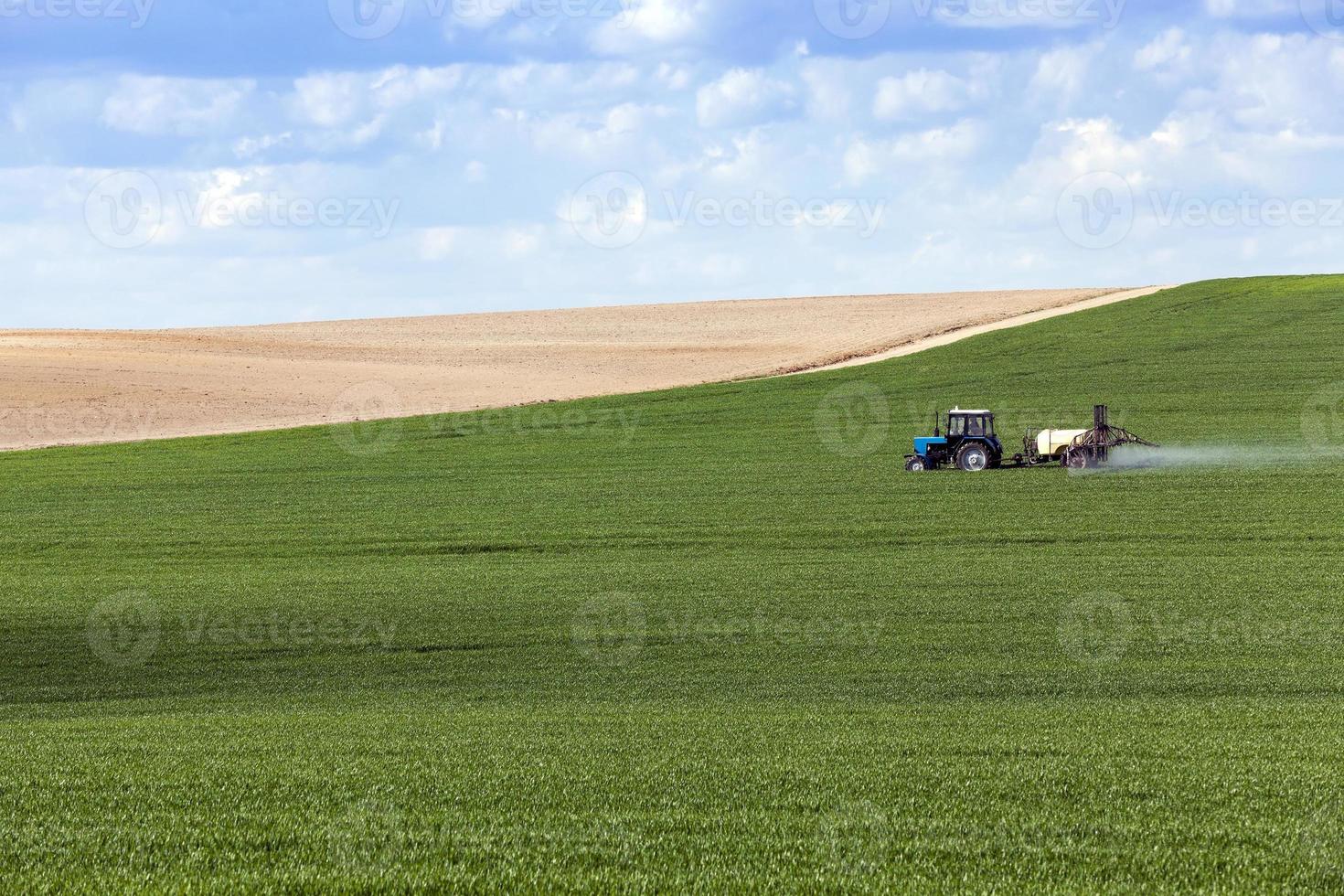 tractor in the field photo