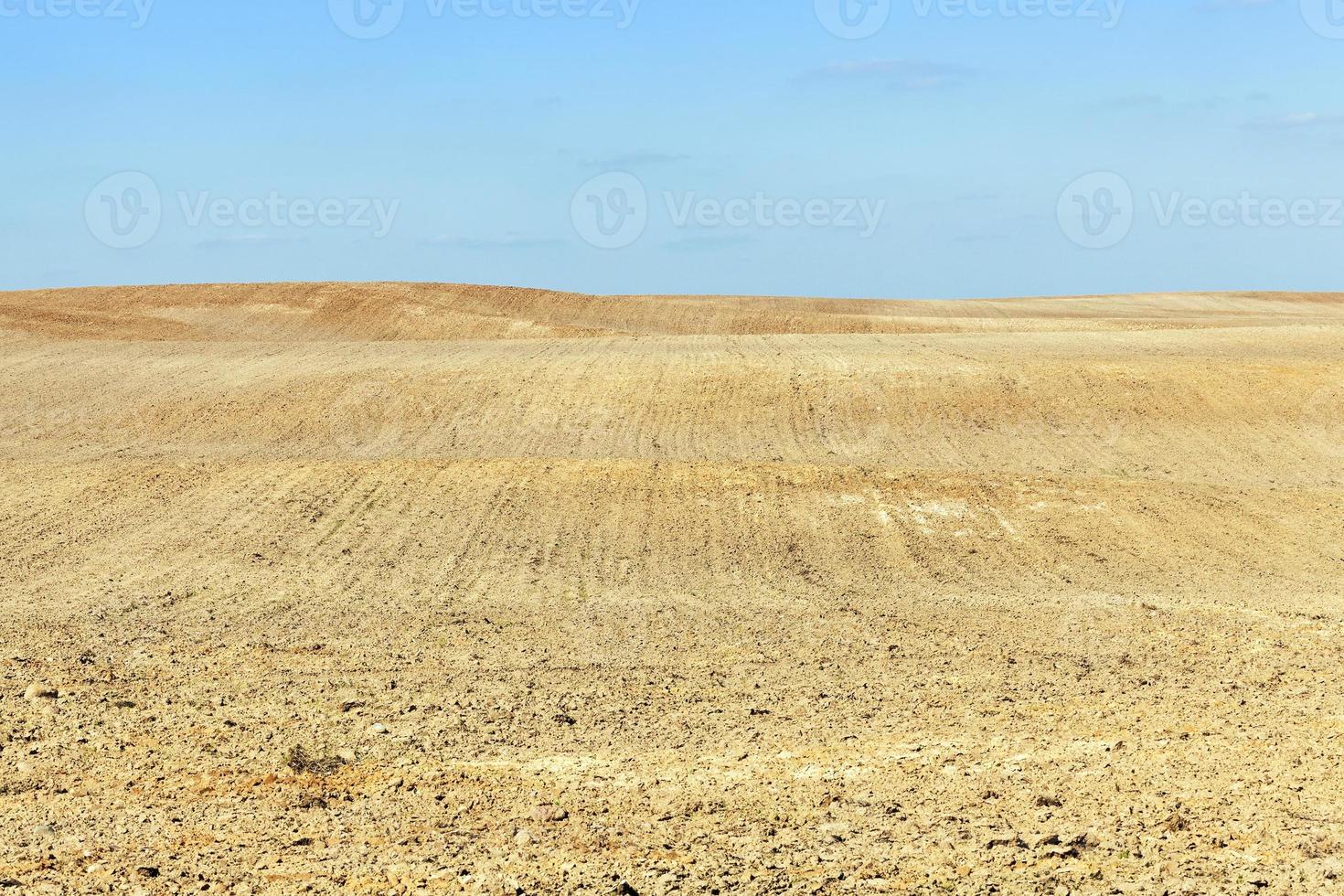 Hilly arable land photo
