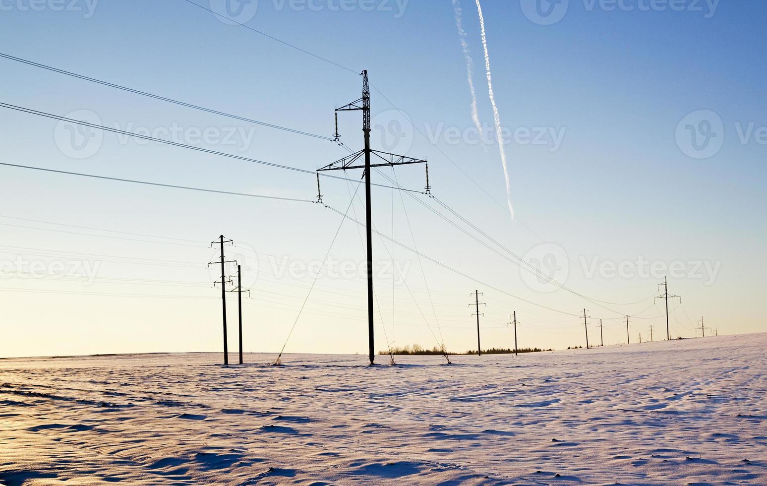 columns in the field - the electric columns which are standing in the field. winter. photo