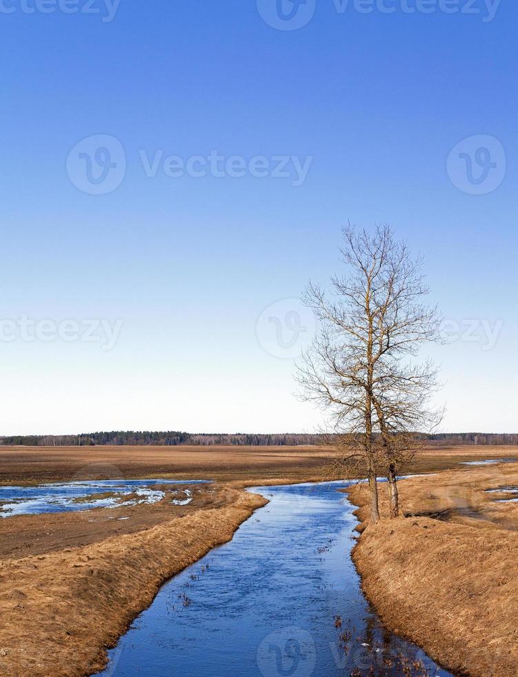 small river in the field photo