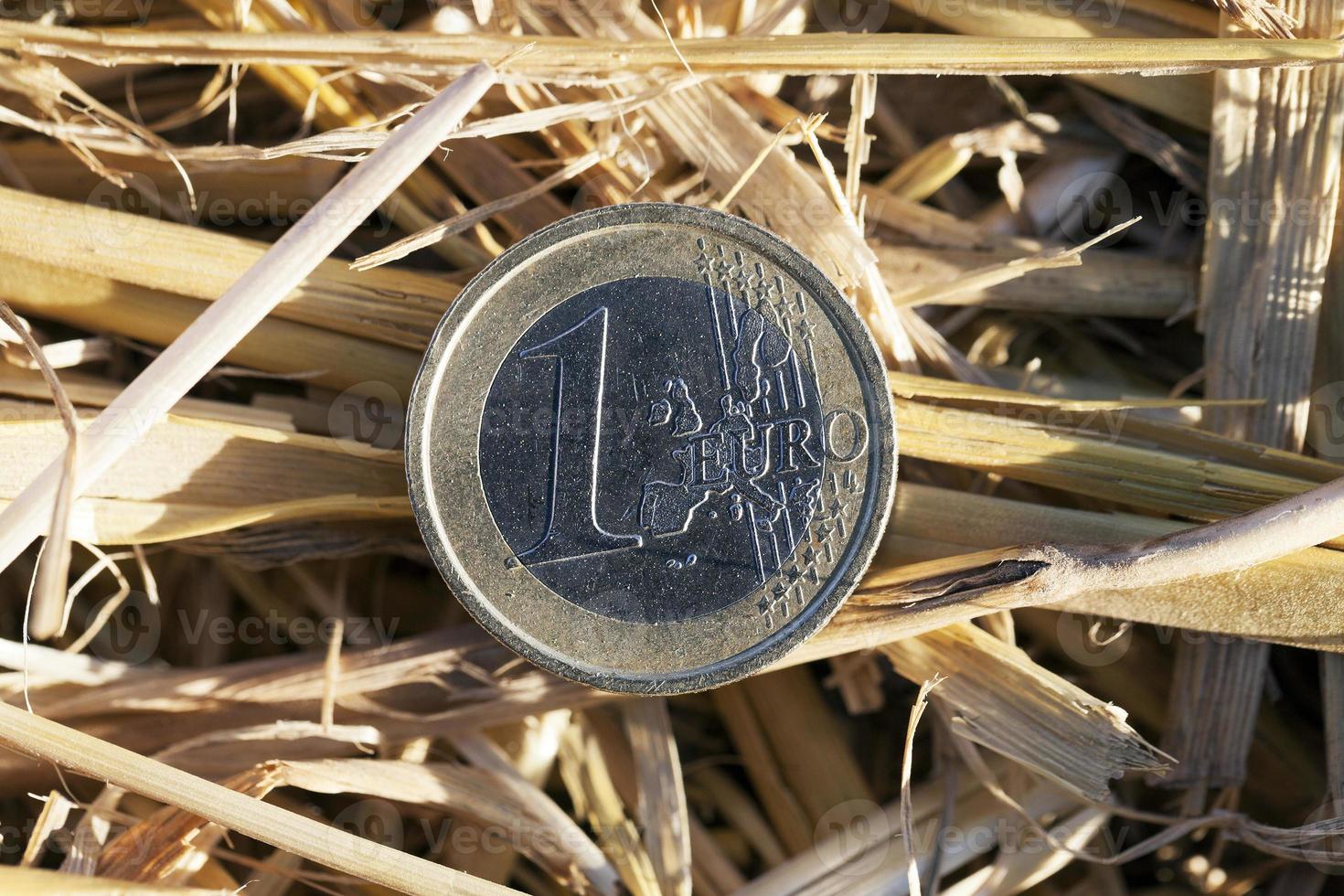 coin in the straw photo