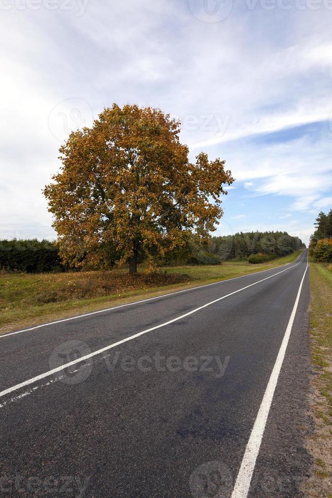 the autumn road photo