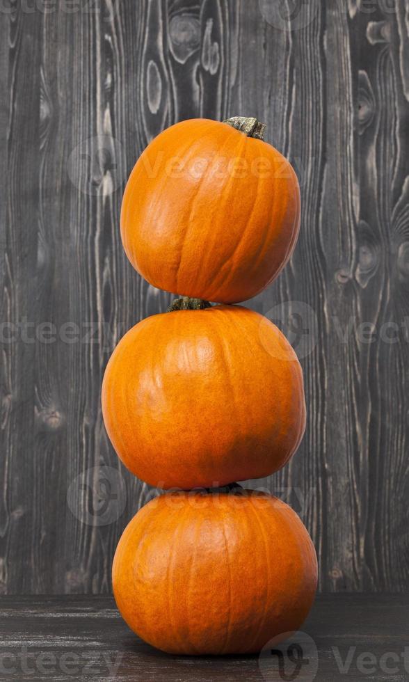 small orange pumpkins photo
